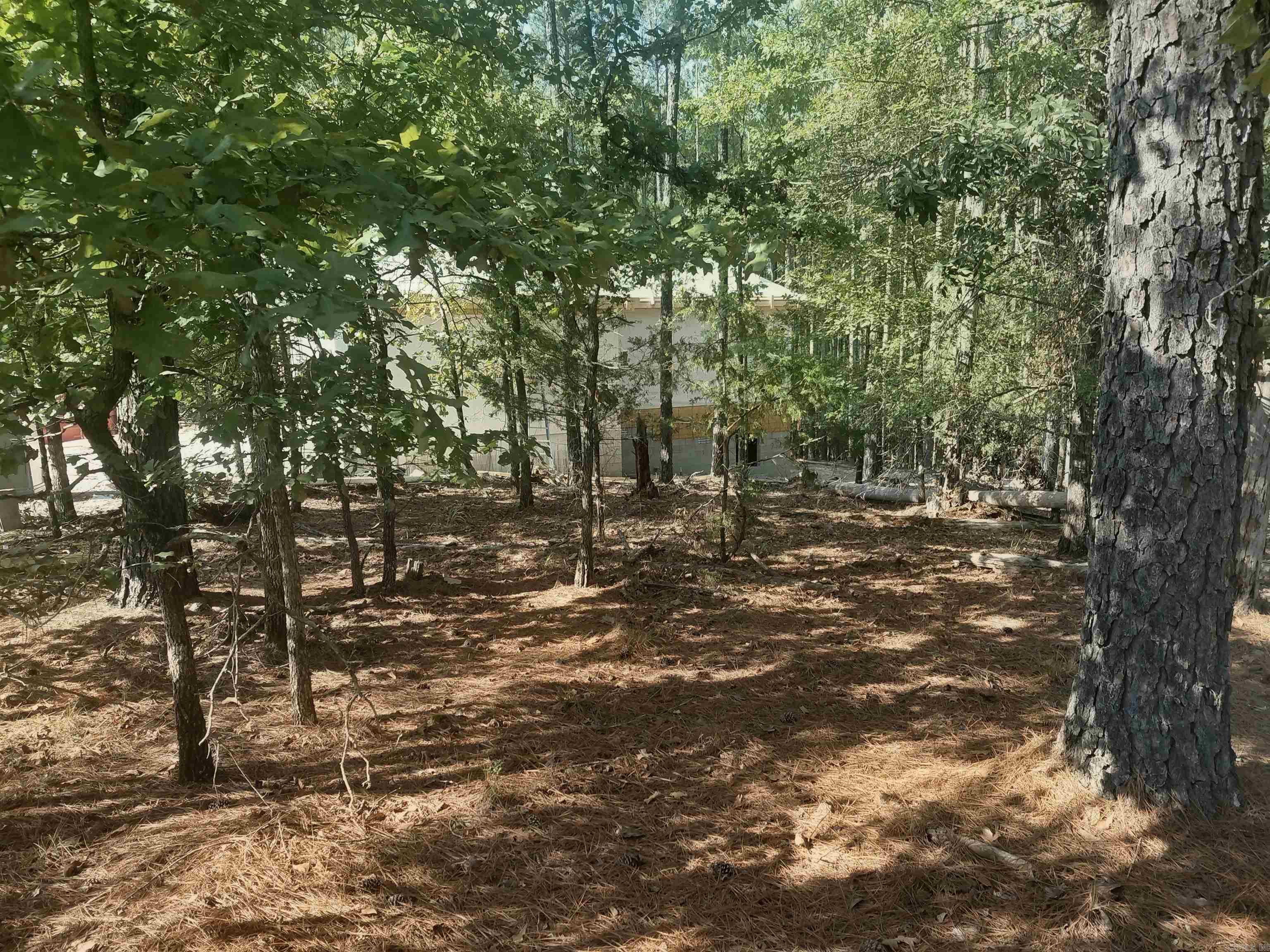 16 Vigoroso Lane Property Photo 2