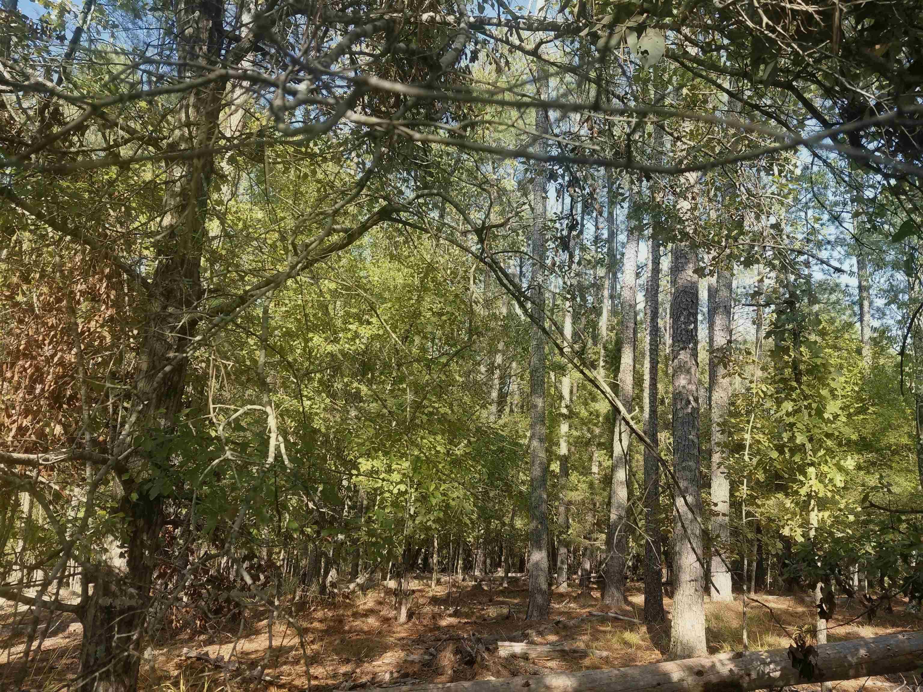16 Vigoroso Lane Property Photo 4