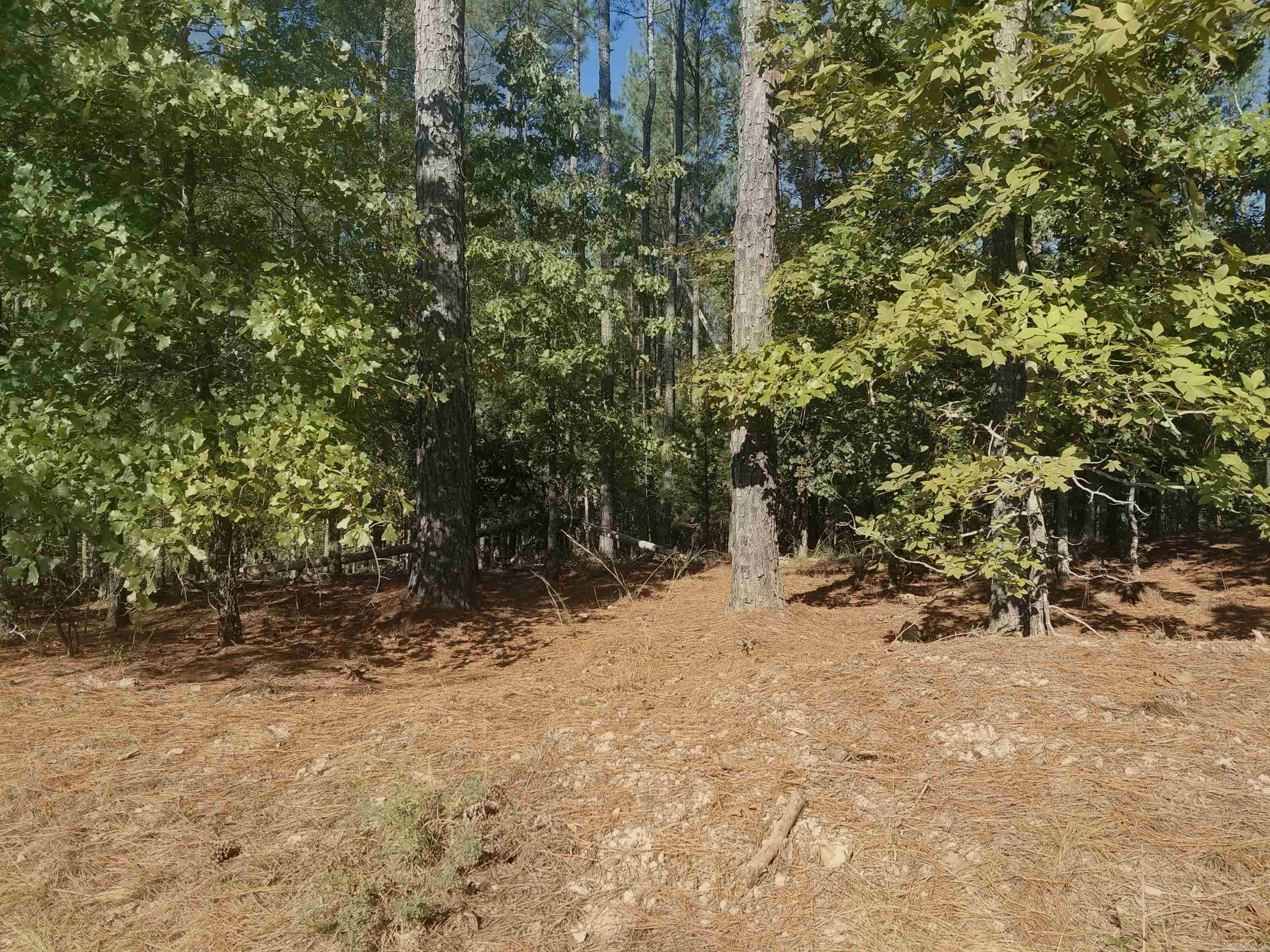 16 Vigoroso Lane Property Photo 6