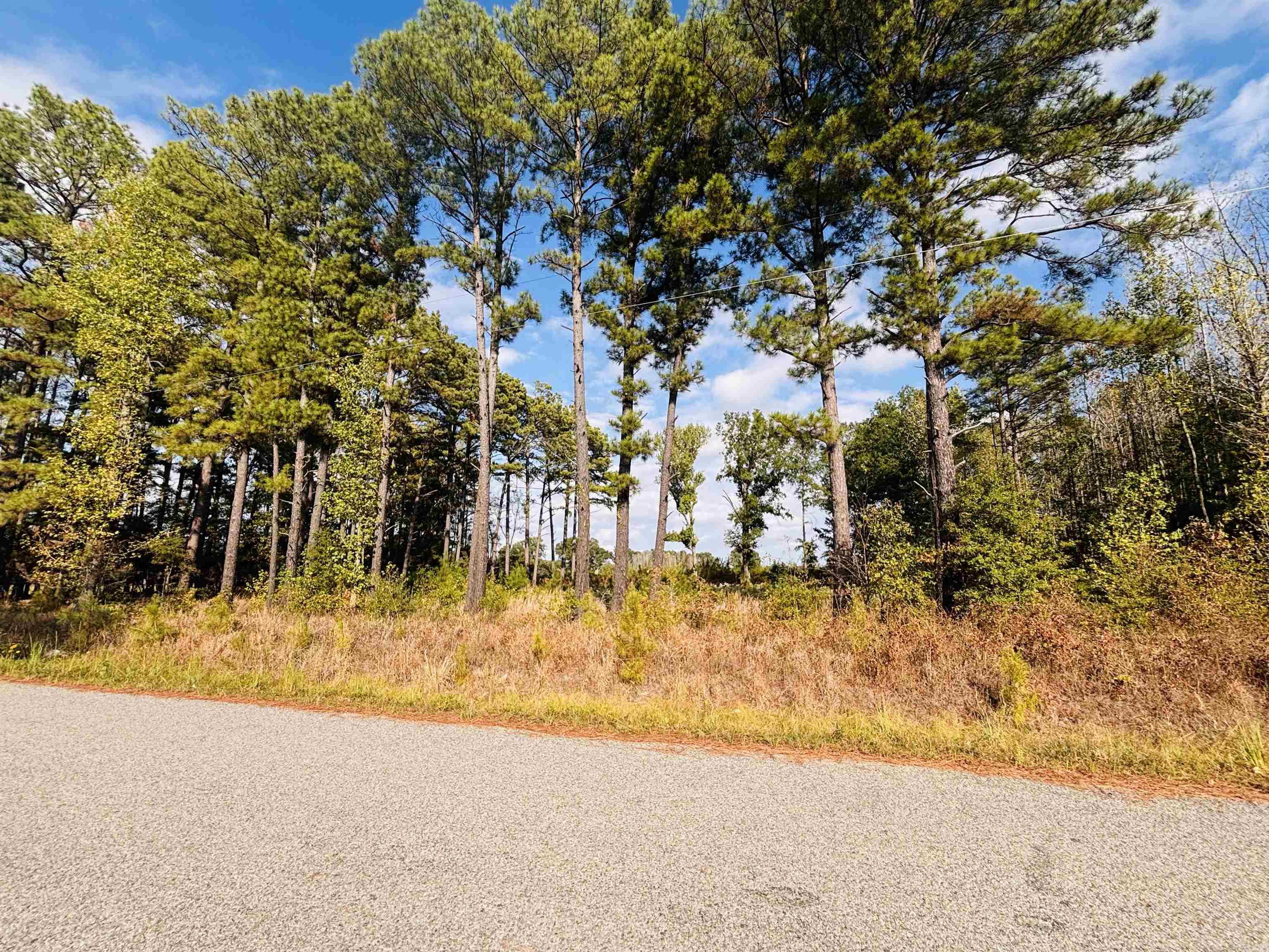 000 Womack Road Property Photo 1