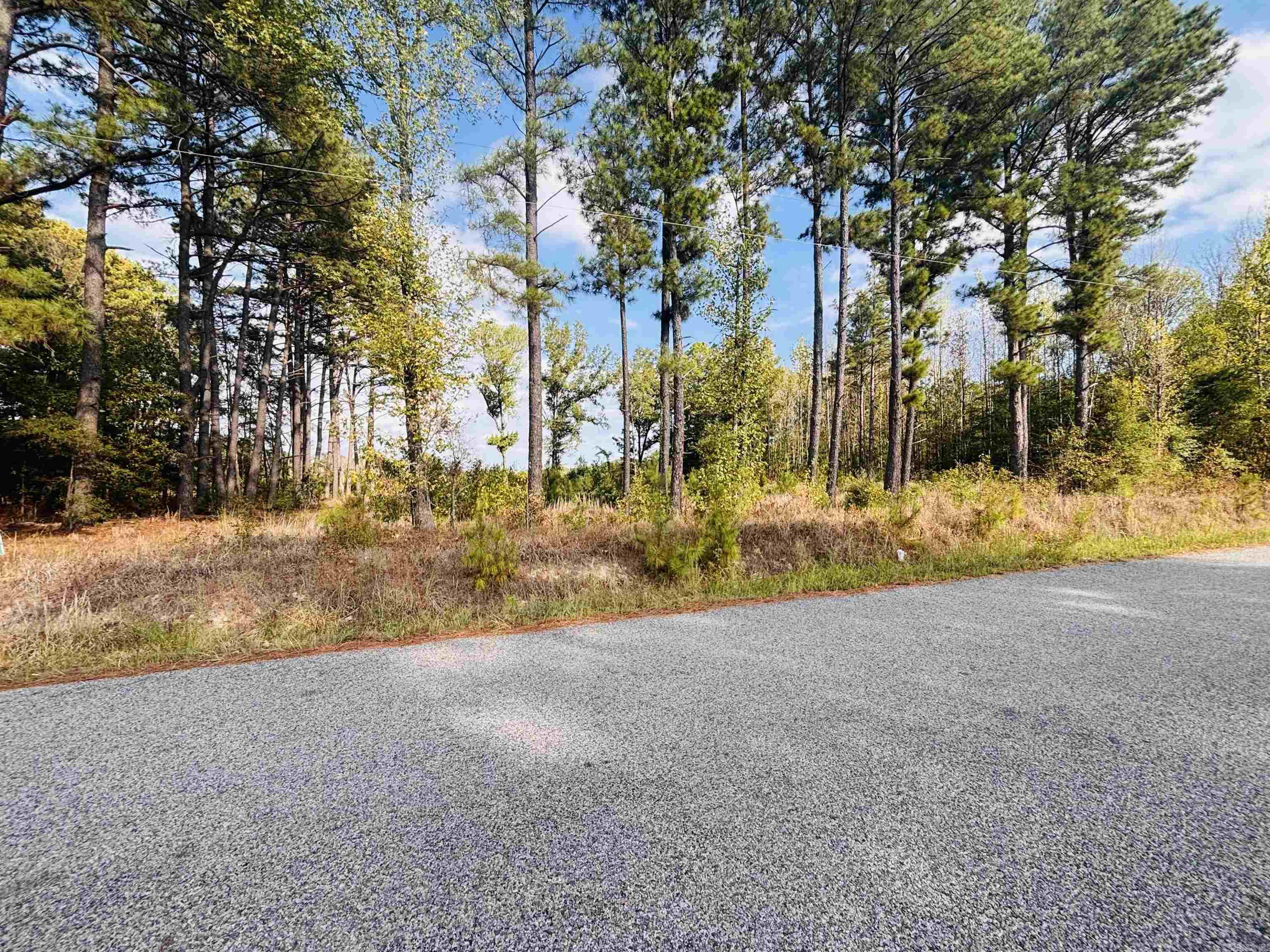000 Womack Road Property Photo 2