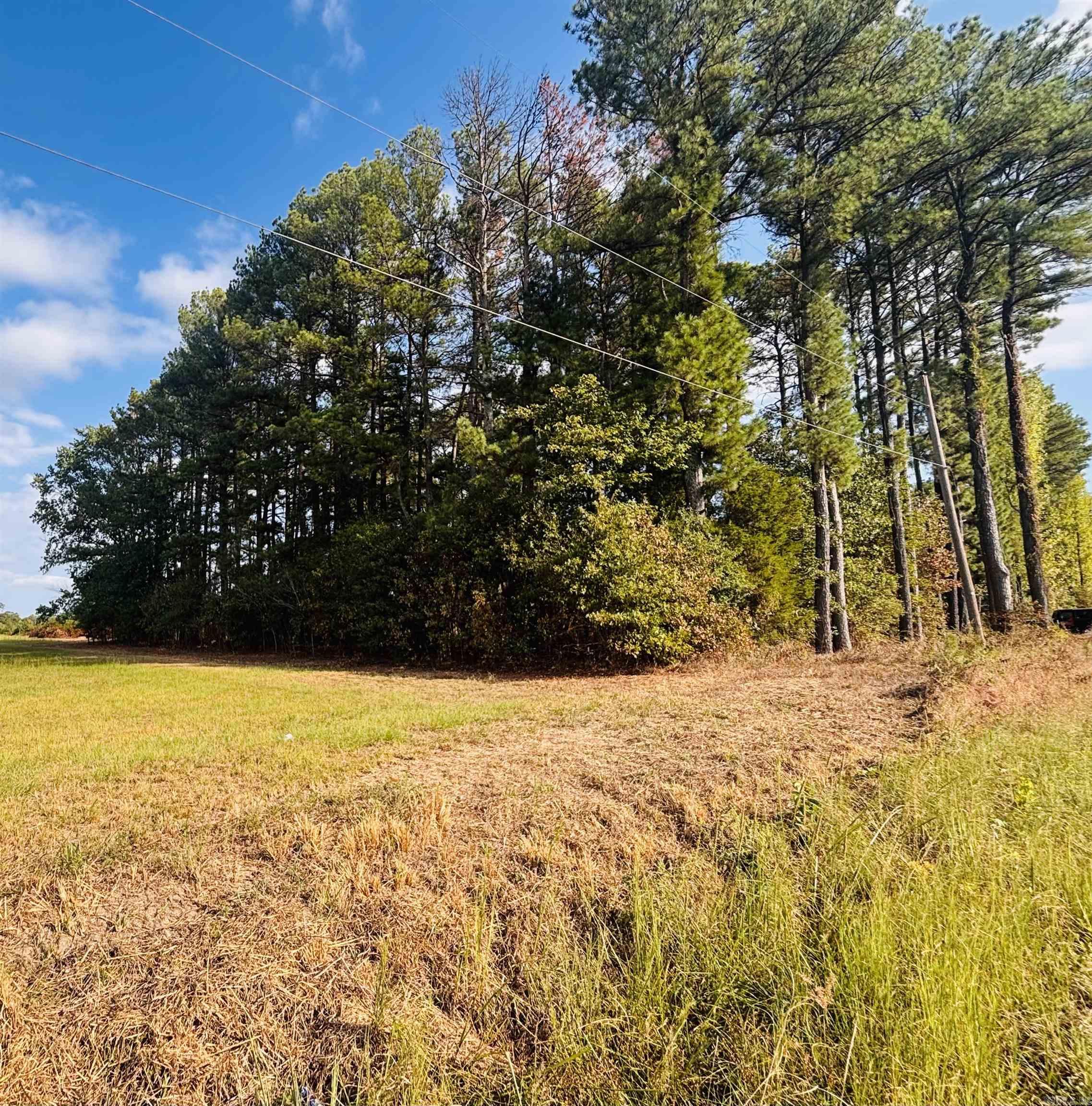 000 Womack Road Property Photo 3