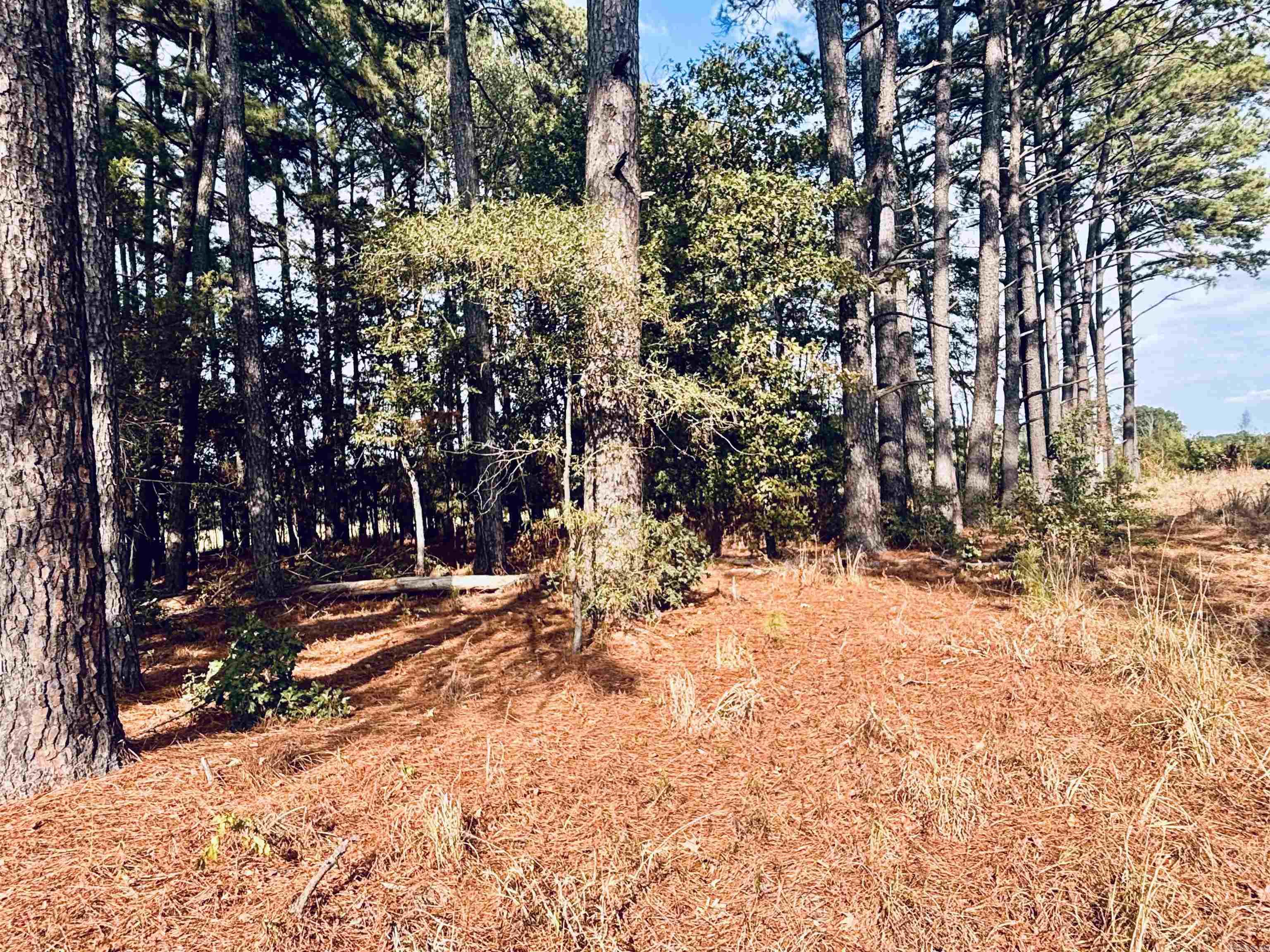 000 Womack Road Property Photo 4