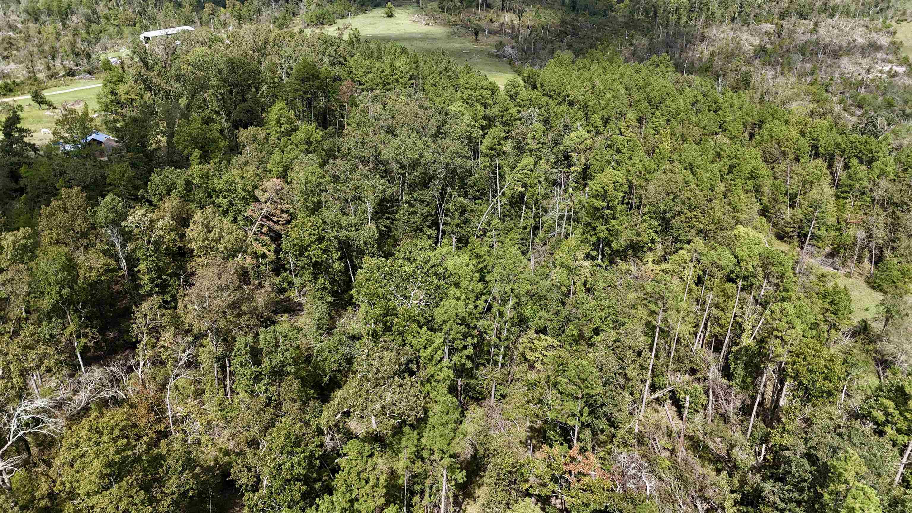 381 Preacher Road Property Photo 3