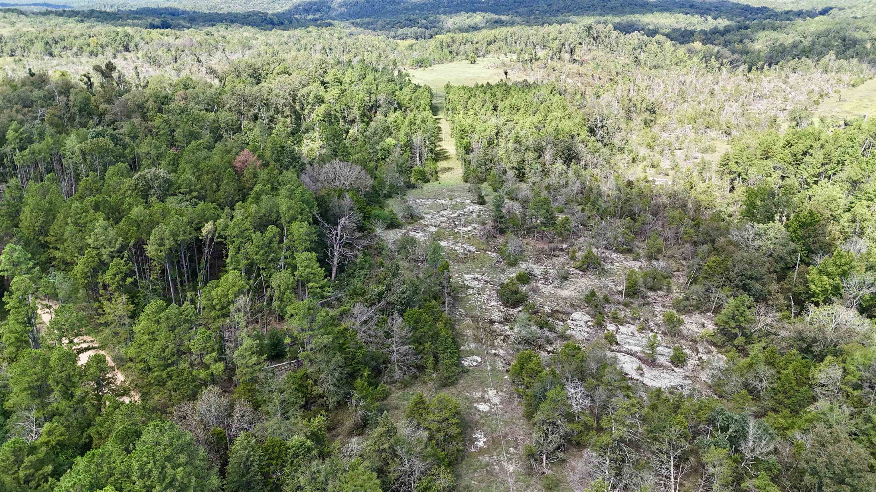 381 Preacher Road Property Photo 5