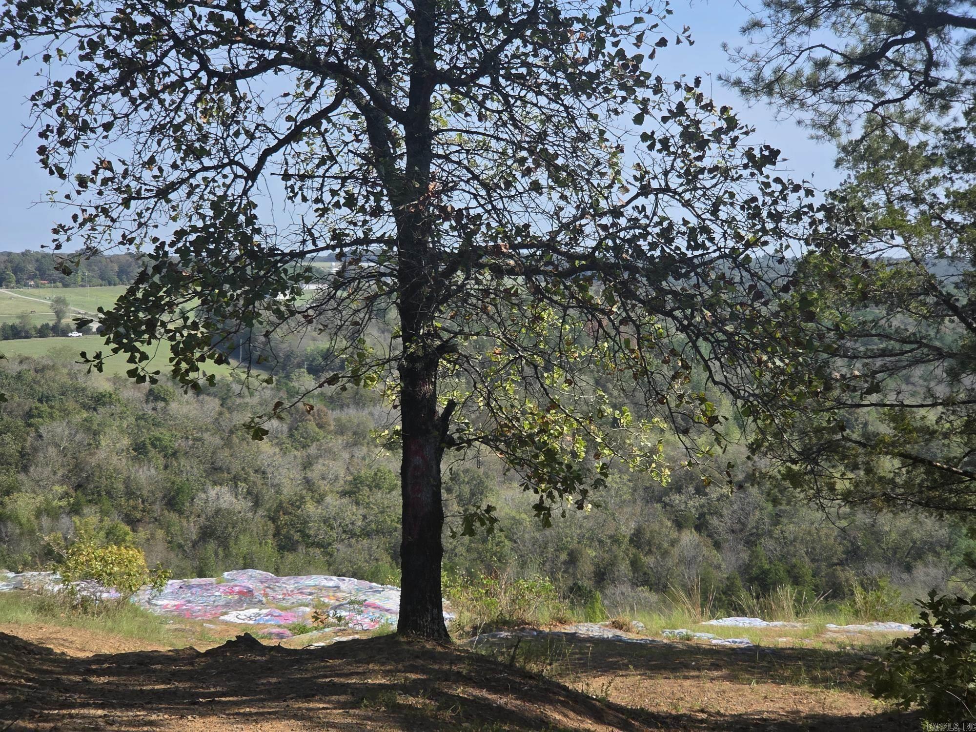 34.14 Acres Off Hwy 31 N Property Photo 2