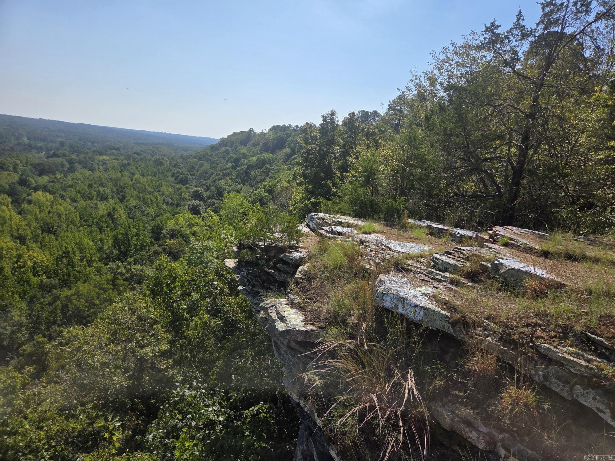 34.14 Acres Off Hwy 31 N Property Photo 3
