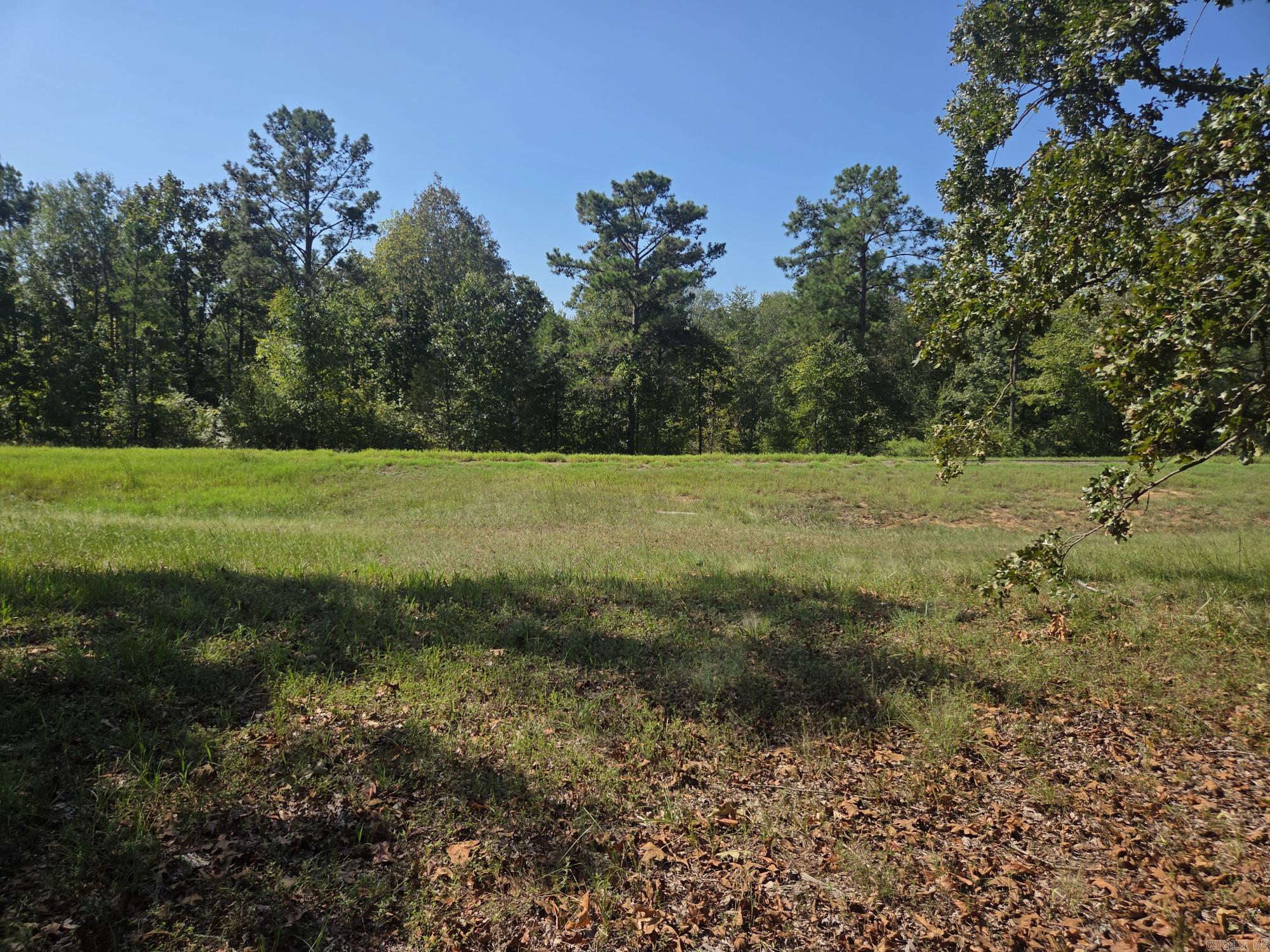 34.14 Acres Off Hwy 31 N Property Photo 4