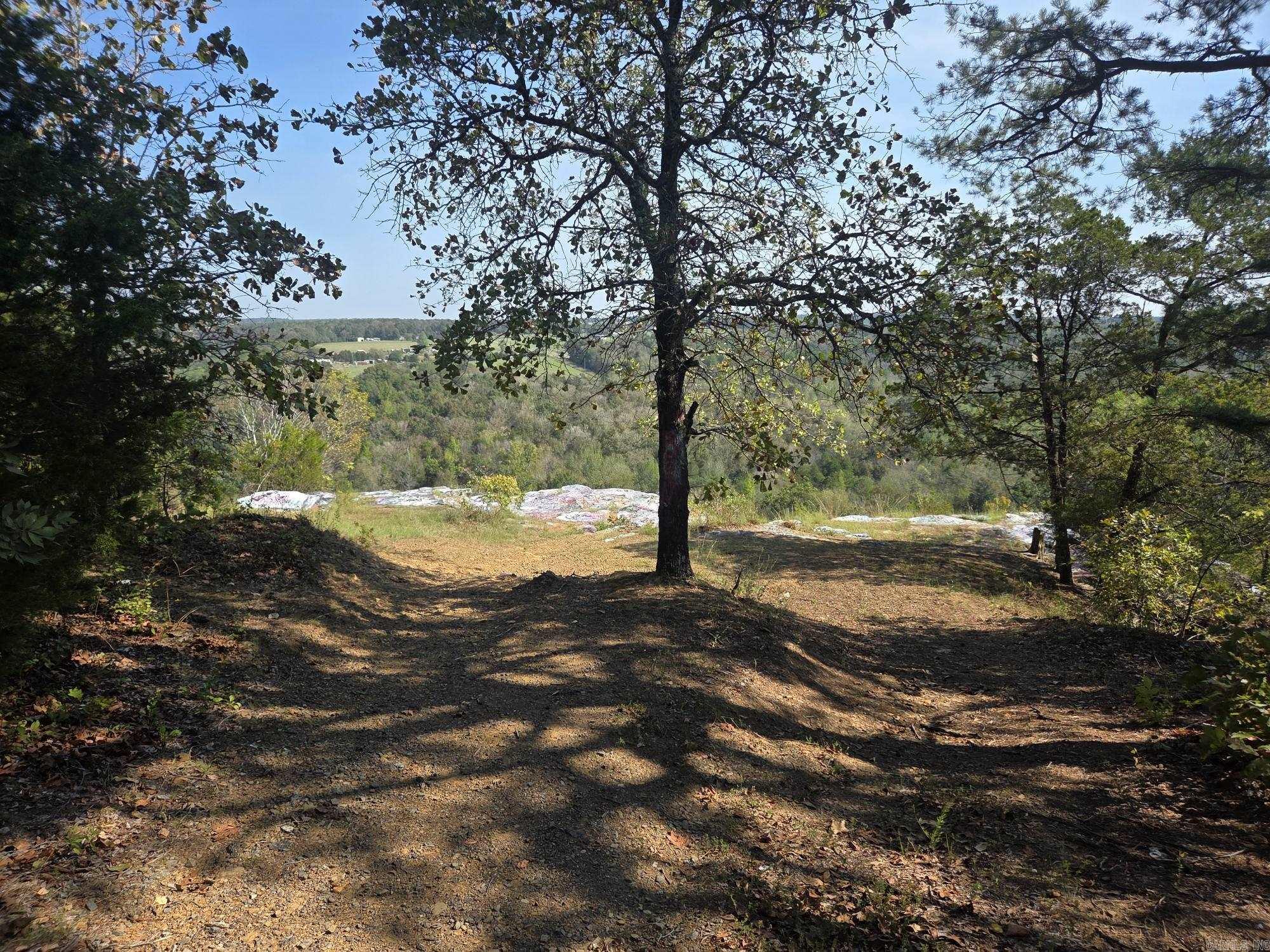 34.14 Acres Off Hwy 31 N Property Photo 15