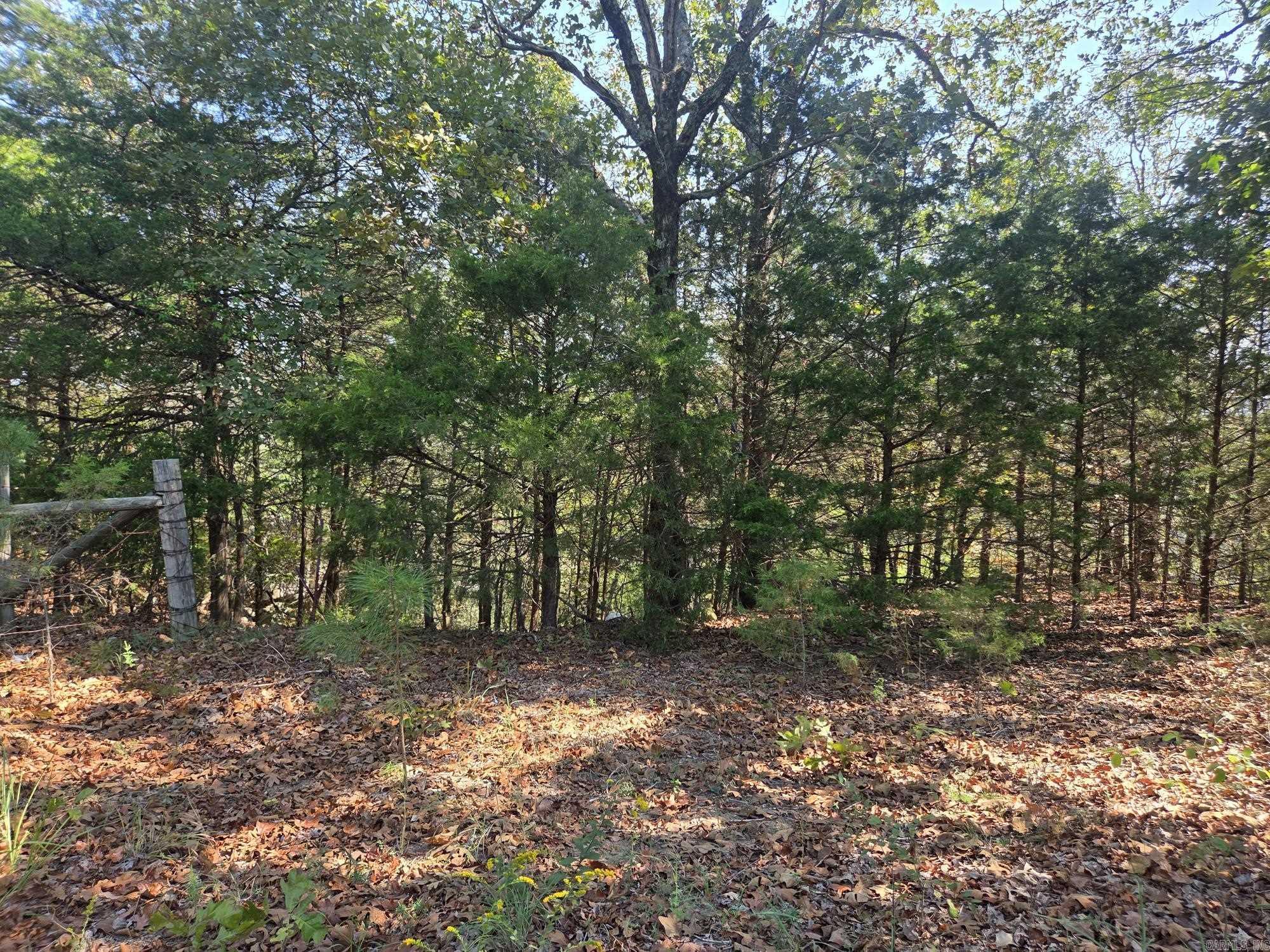 34.14 Acres Off Hwy 31 N Property Photo 16