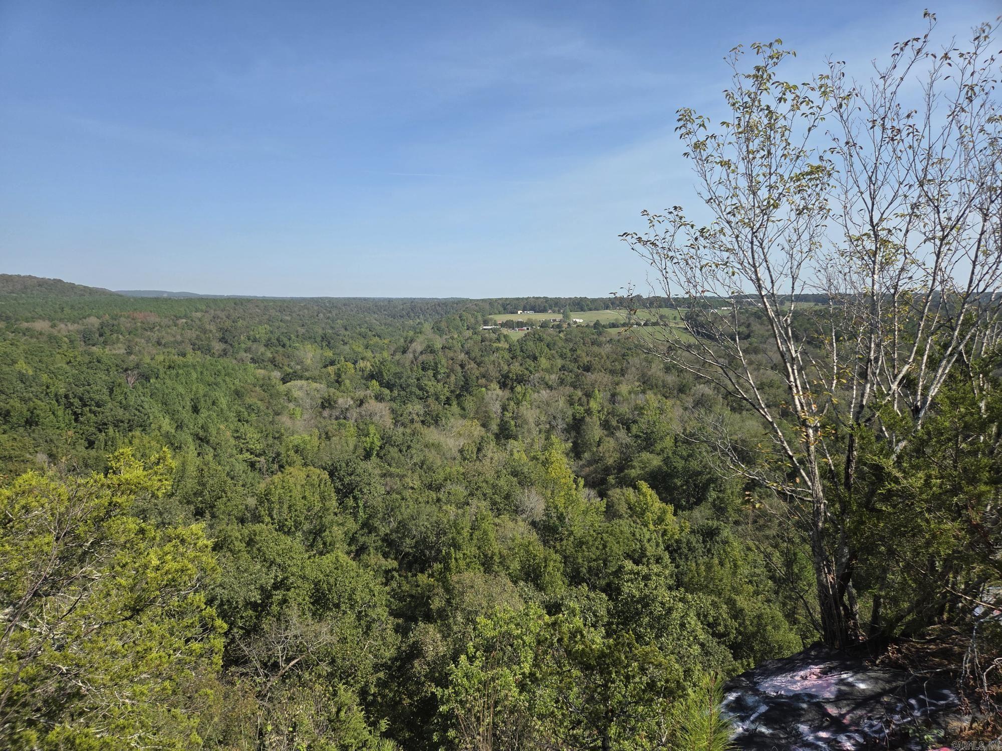 34.14 Acres Off Hwy 31 N Property Photo 17