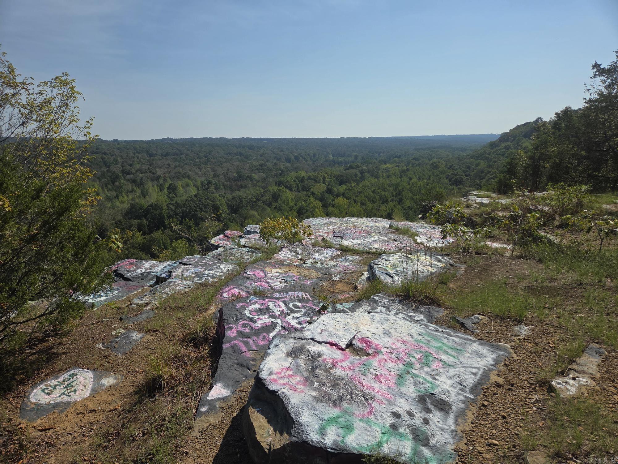 34.14 Acres Off Hwy 31 N Property Photo 18