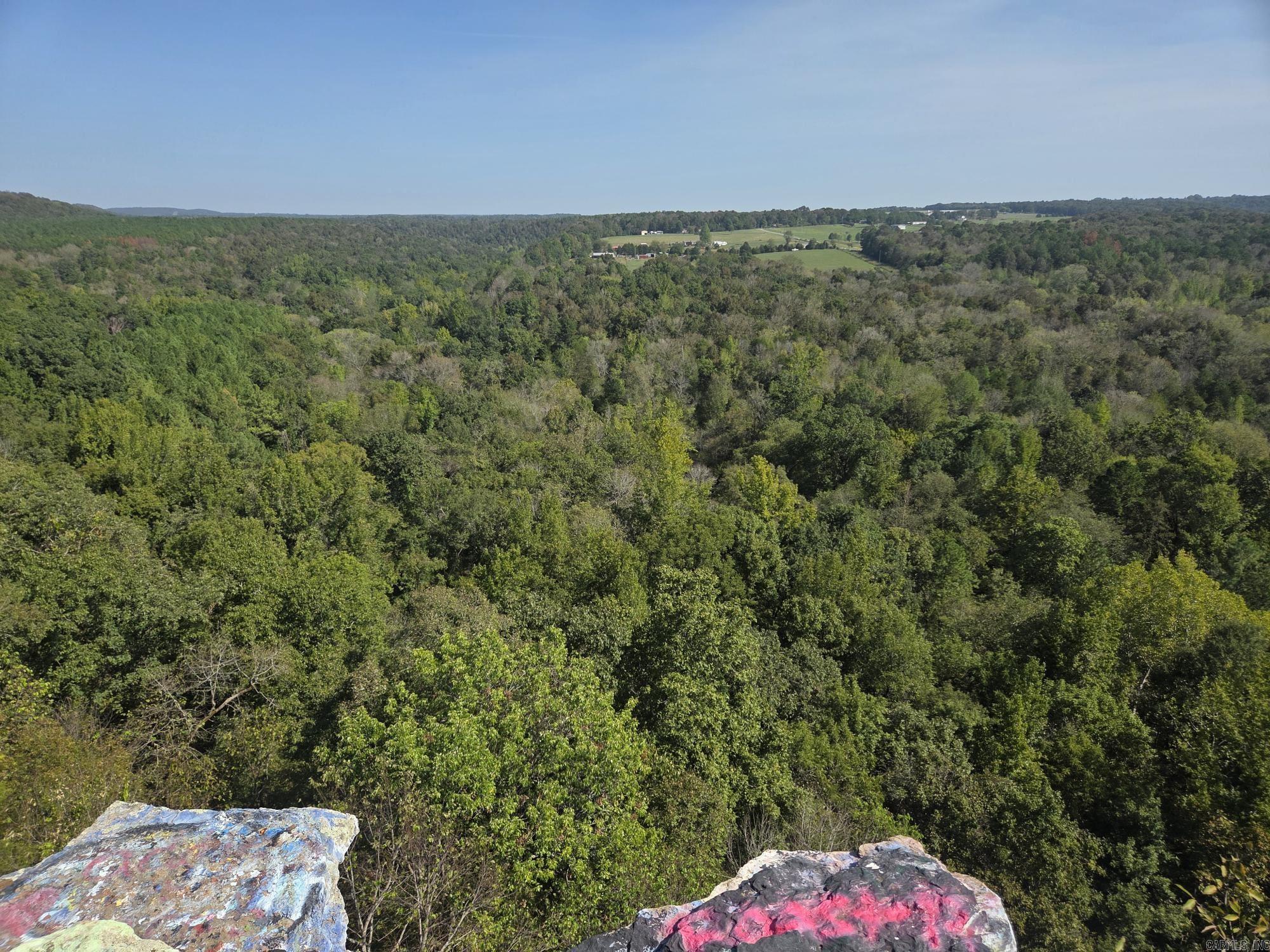 34.14 Acres Off Hwy 31 N Property Photo 19