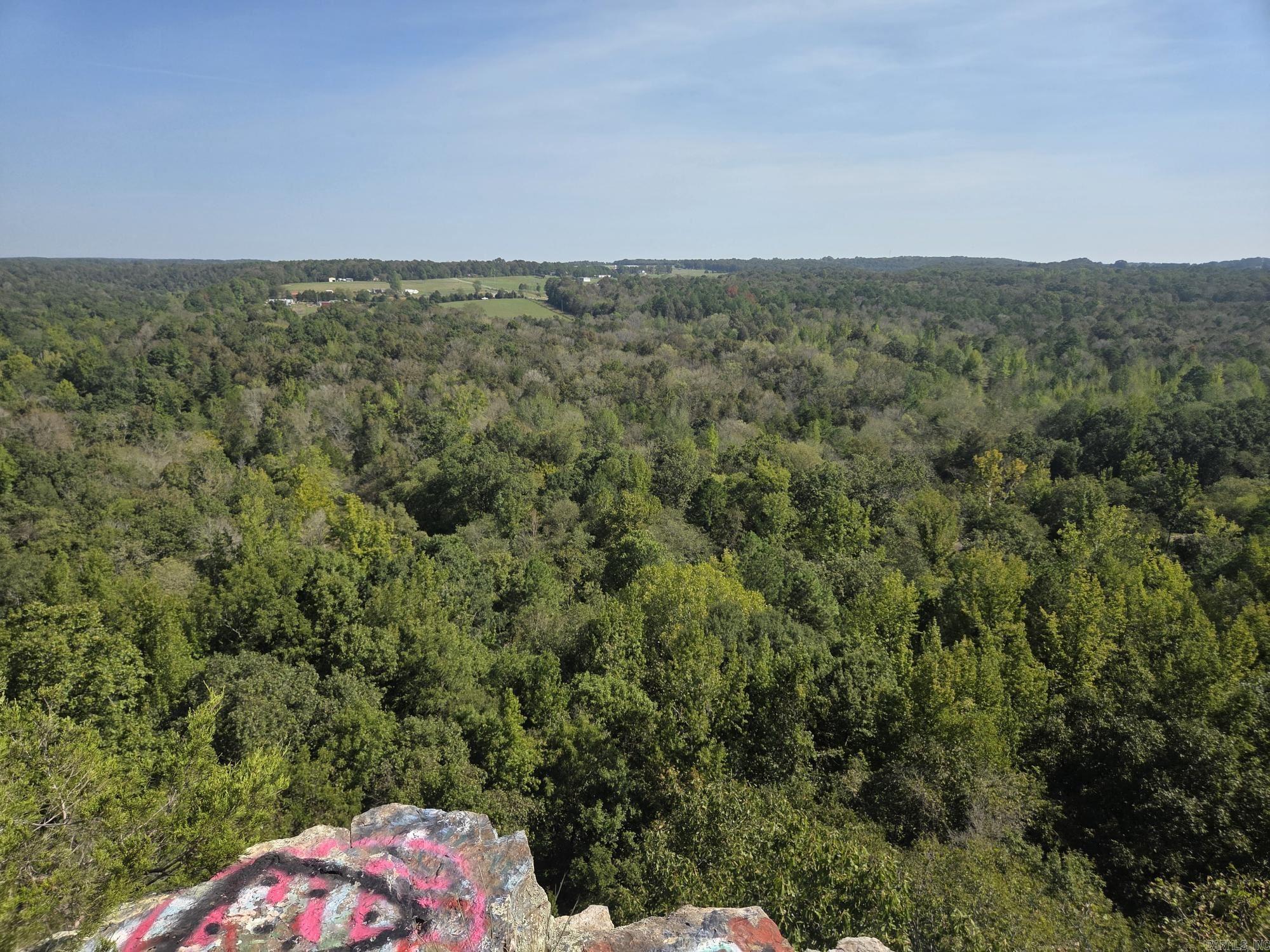 34.14 Acres Off Hwy 31 N Property Photo 22