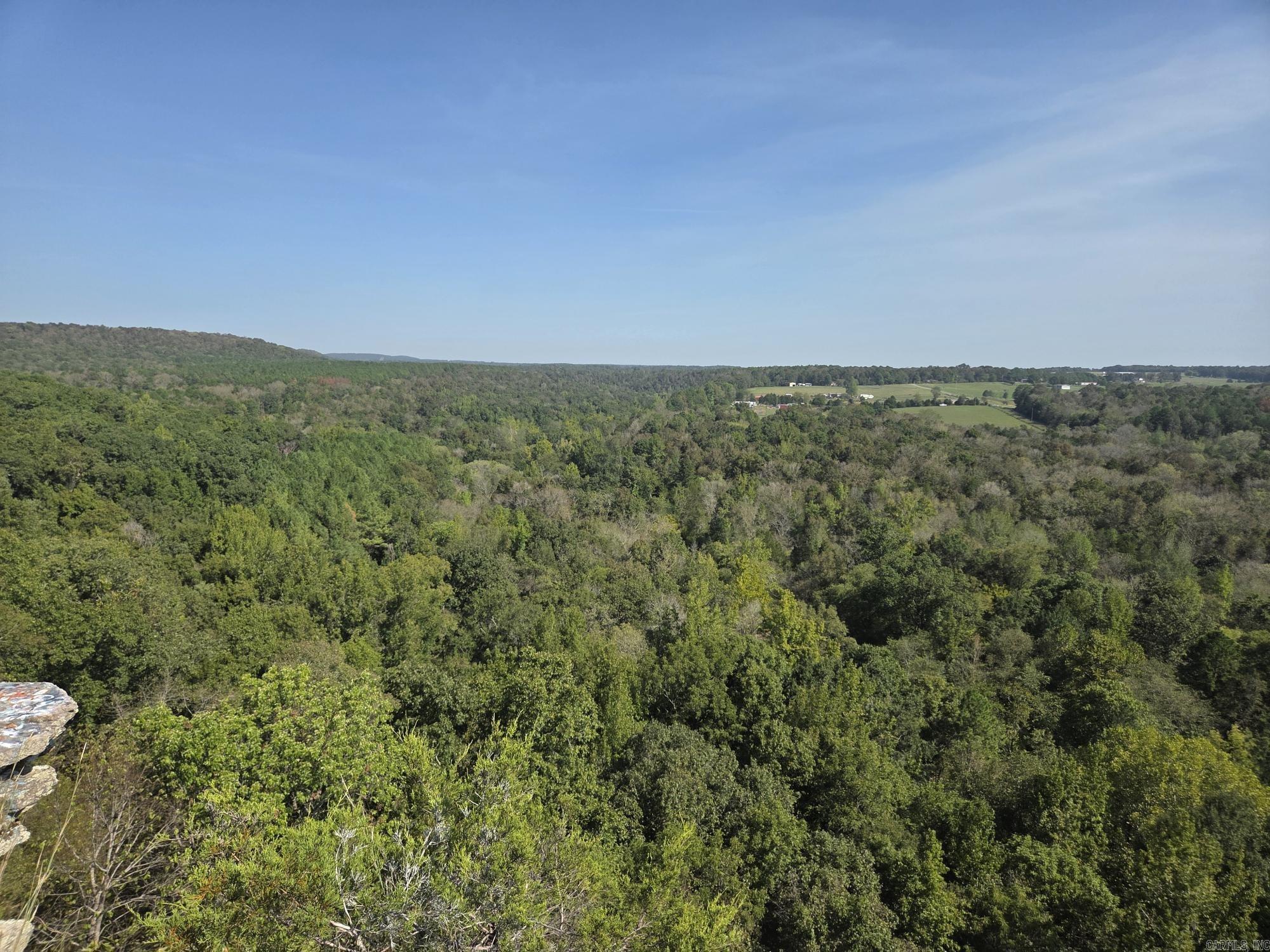 34.14 Acres Off Hwy 31 N Property Photo 23