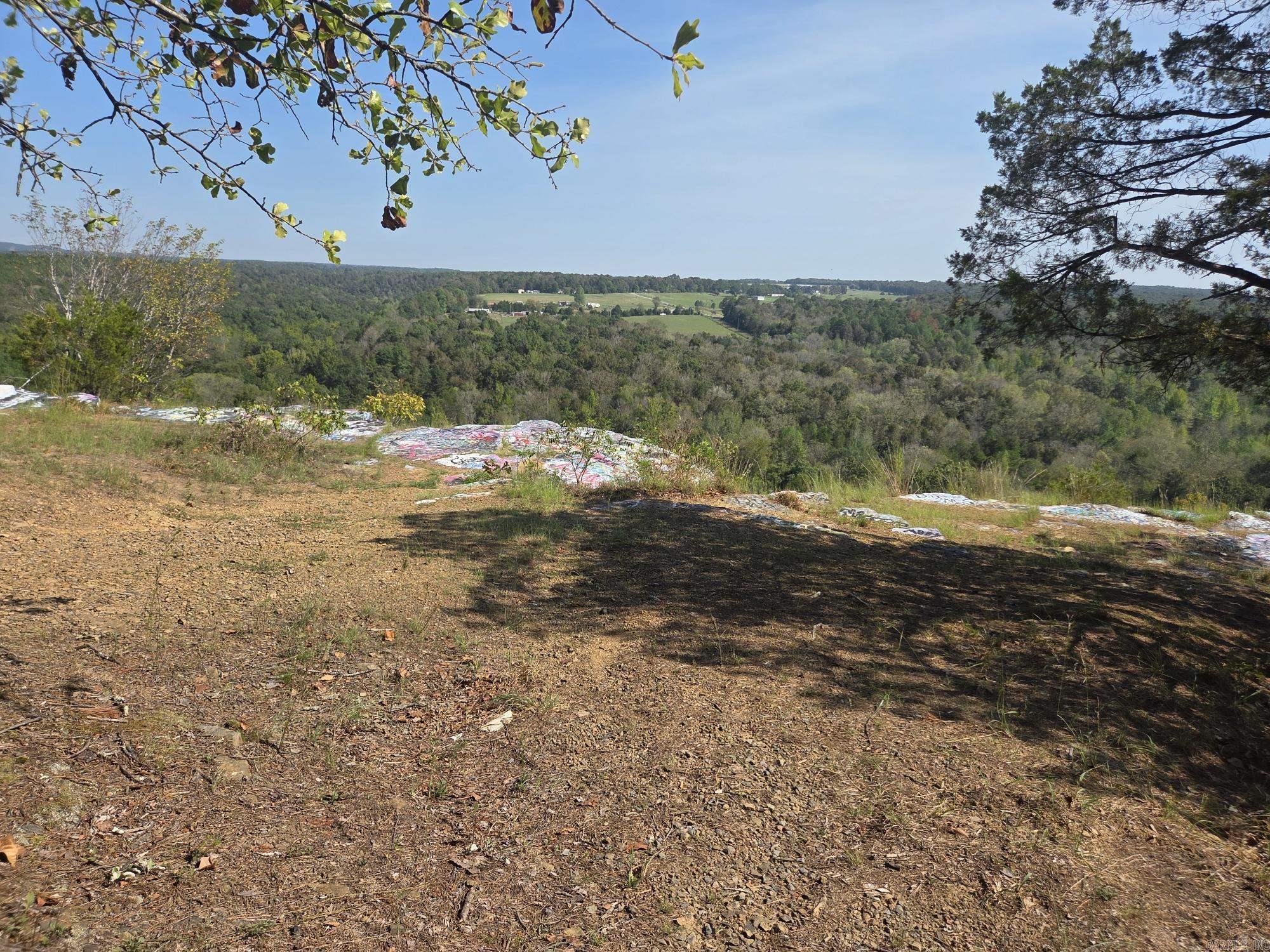 34.14 Acres Off Hwy 31 N Property Photo 24