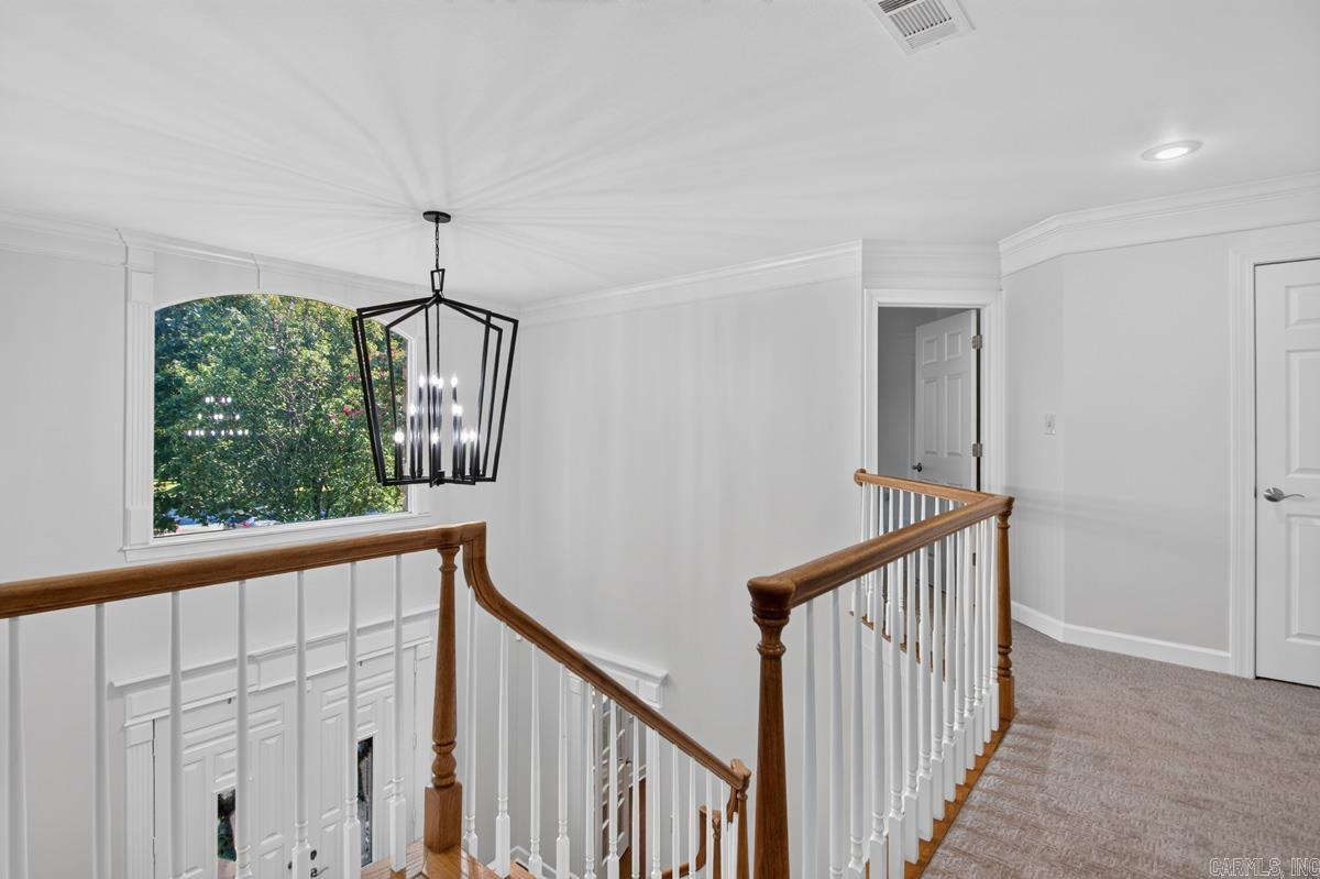20 Latour Property Photo 31
