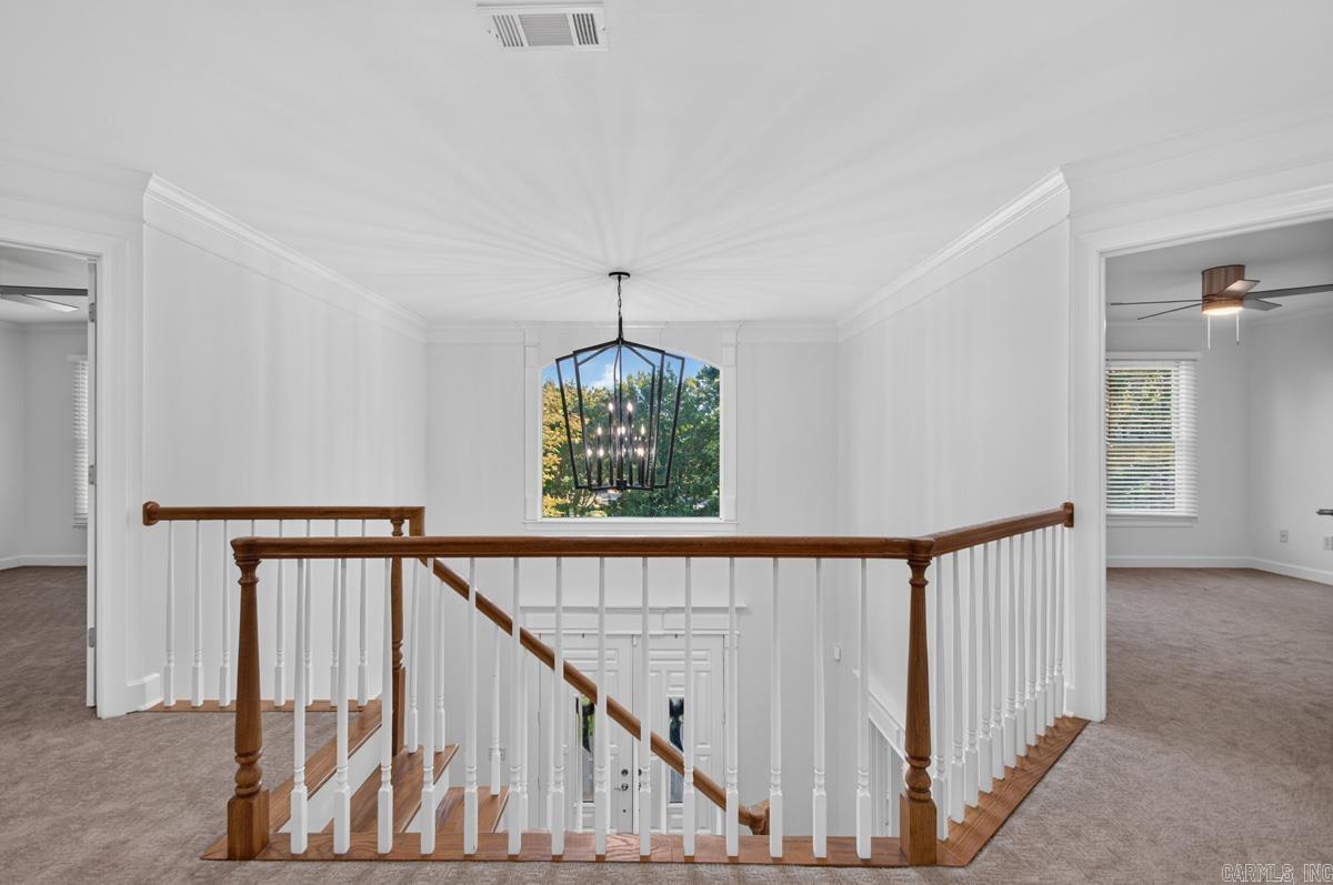 20 Latour Property Photo 32