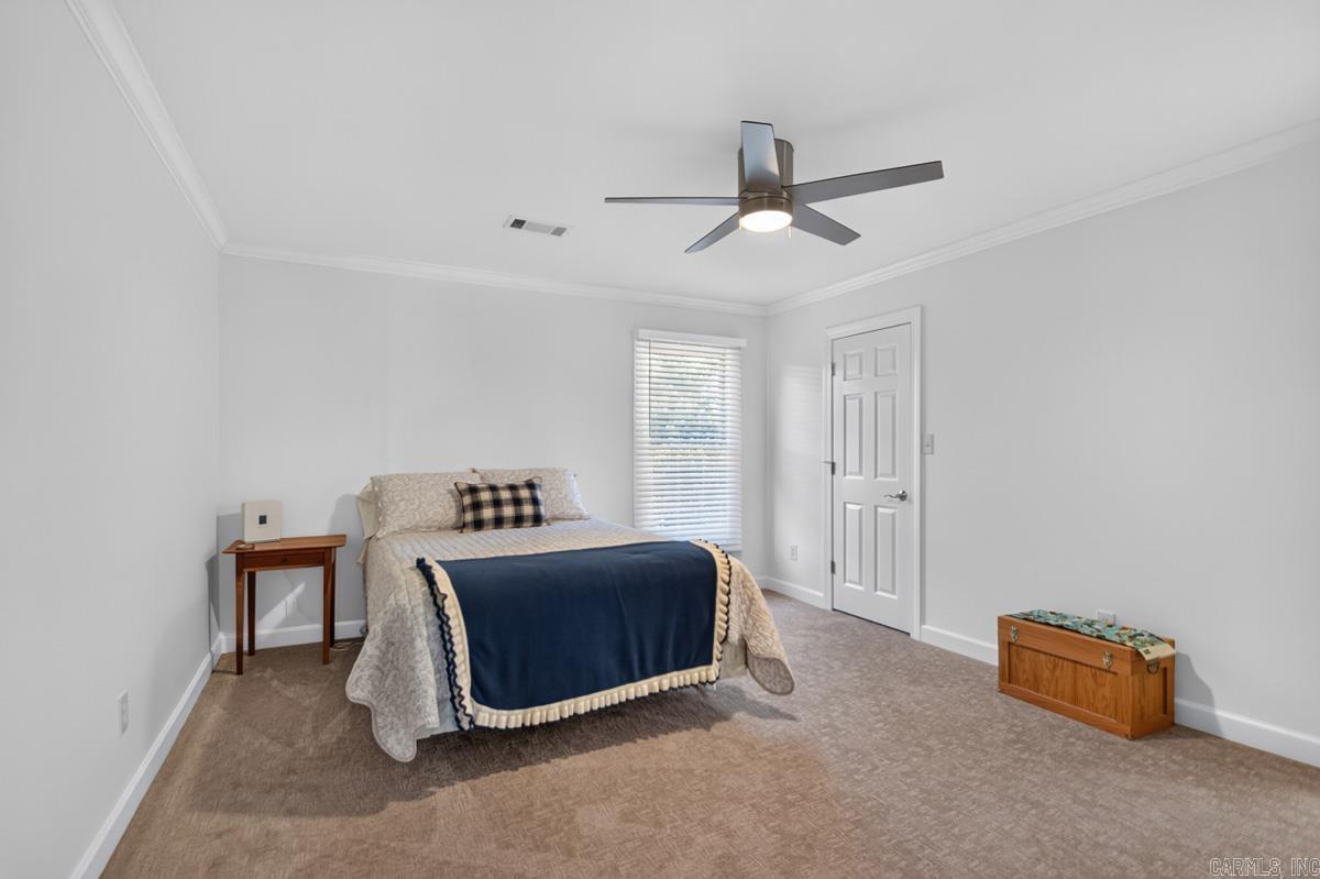 20 Latour Property Photo 37