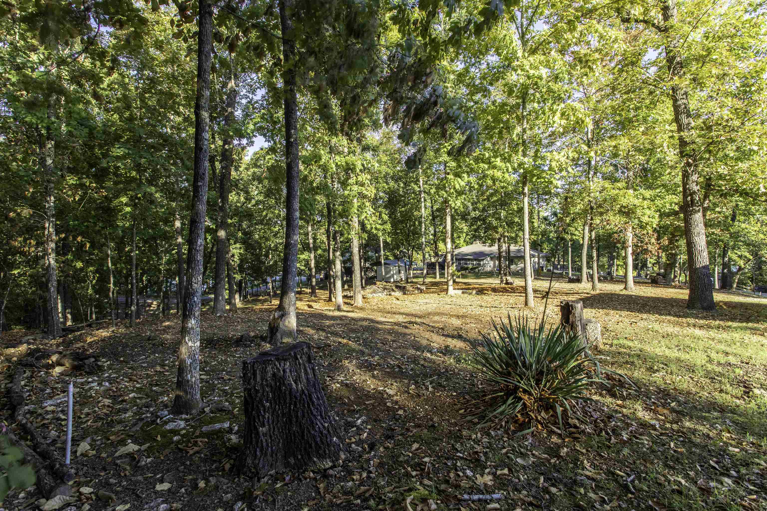 22 Wyandotte Drive Property Photo 4