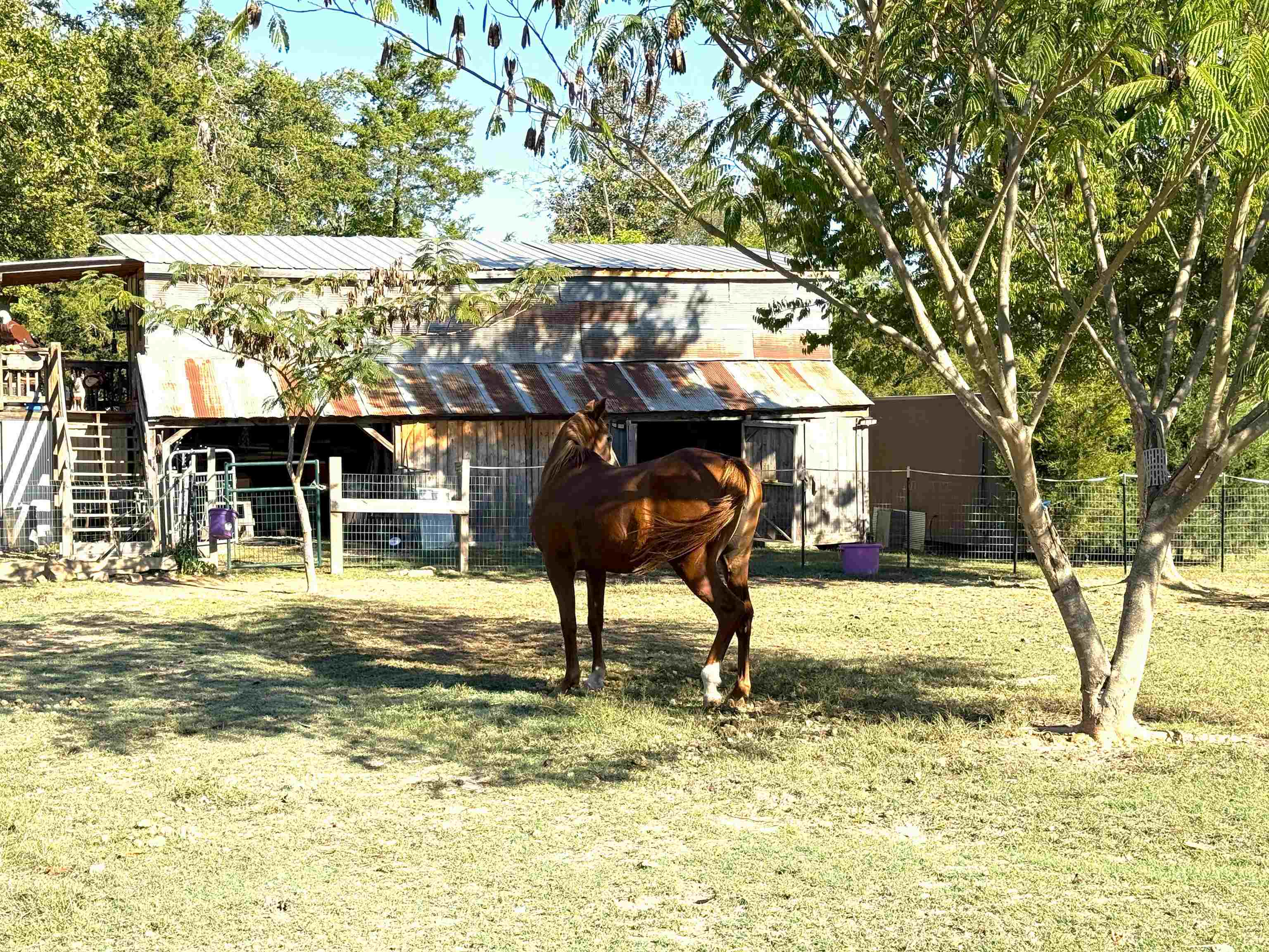 1172 S Boswell Road Property Photo 24