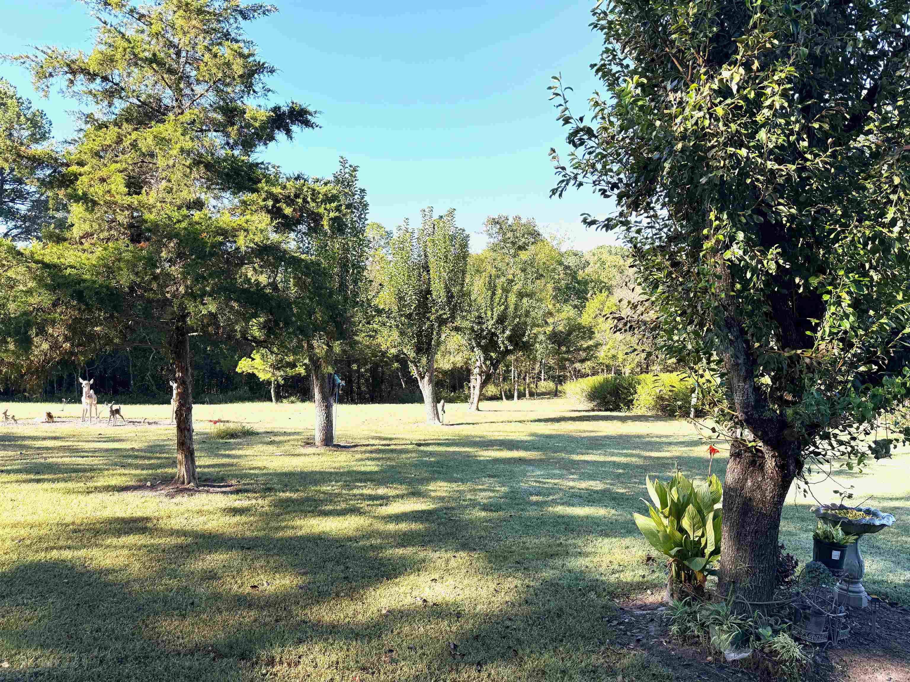 1172 S Boswell Road Property Photo 35