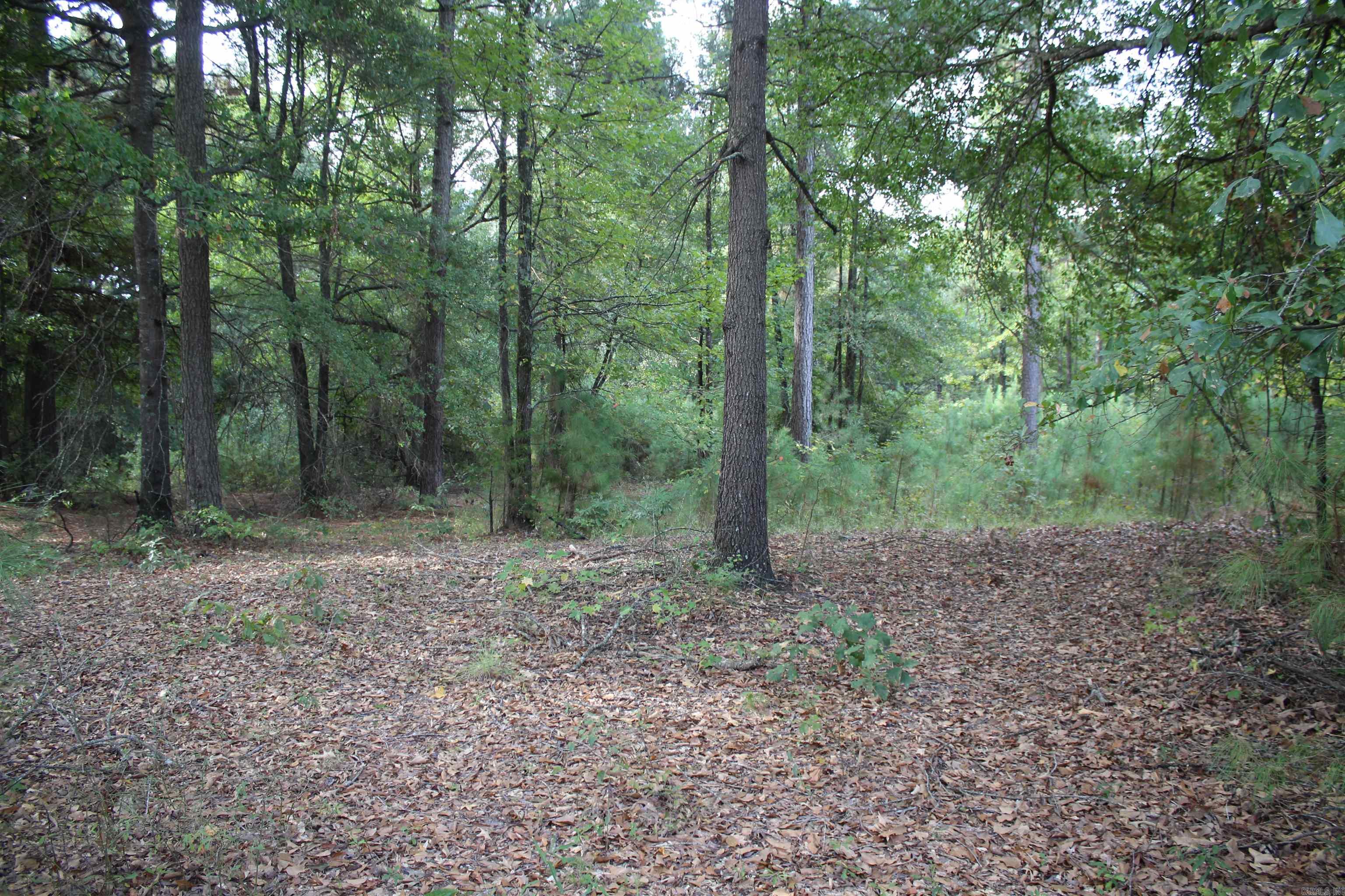 South Bingen Cir. Property Photo 1