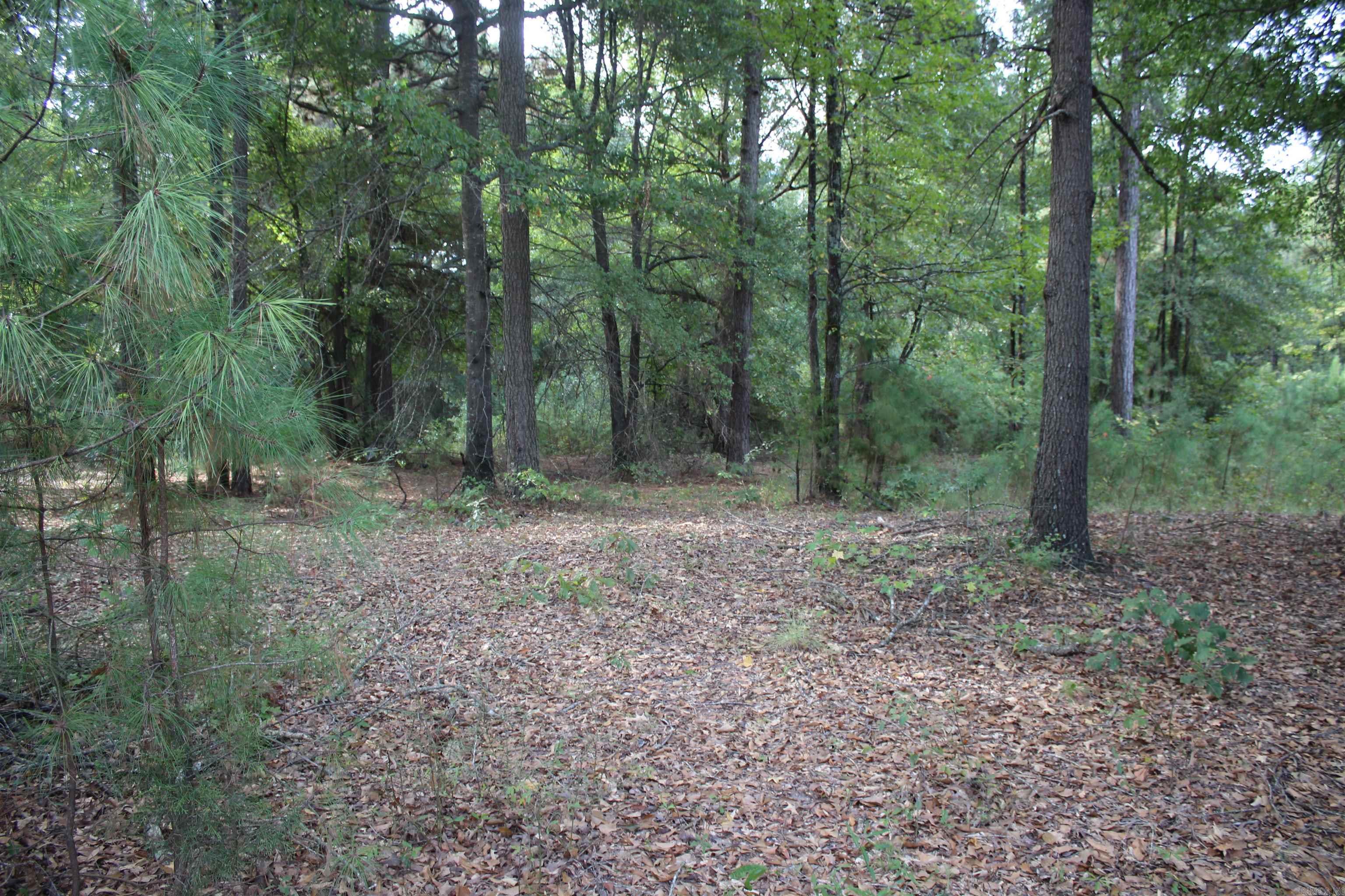 South Bingen Cir. Property Photo 2