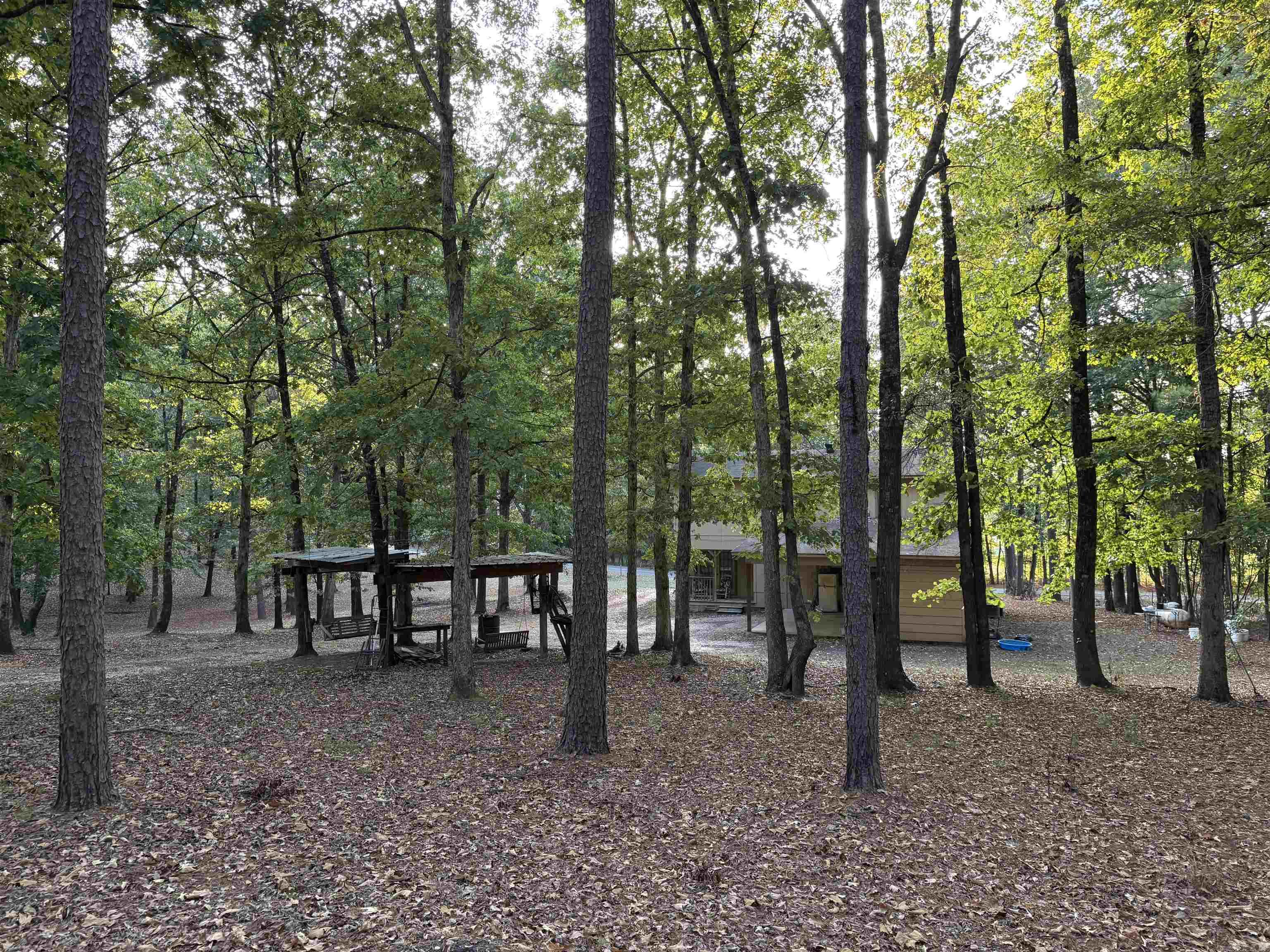 1440 Central Road Property Photo 33