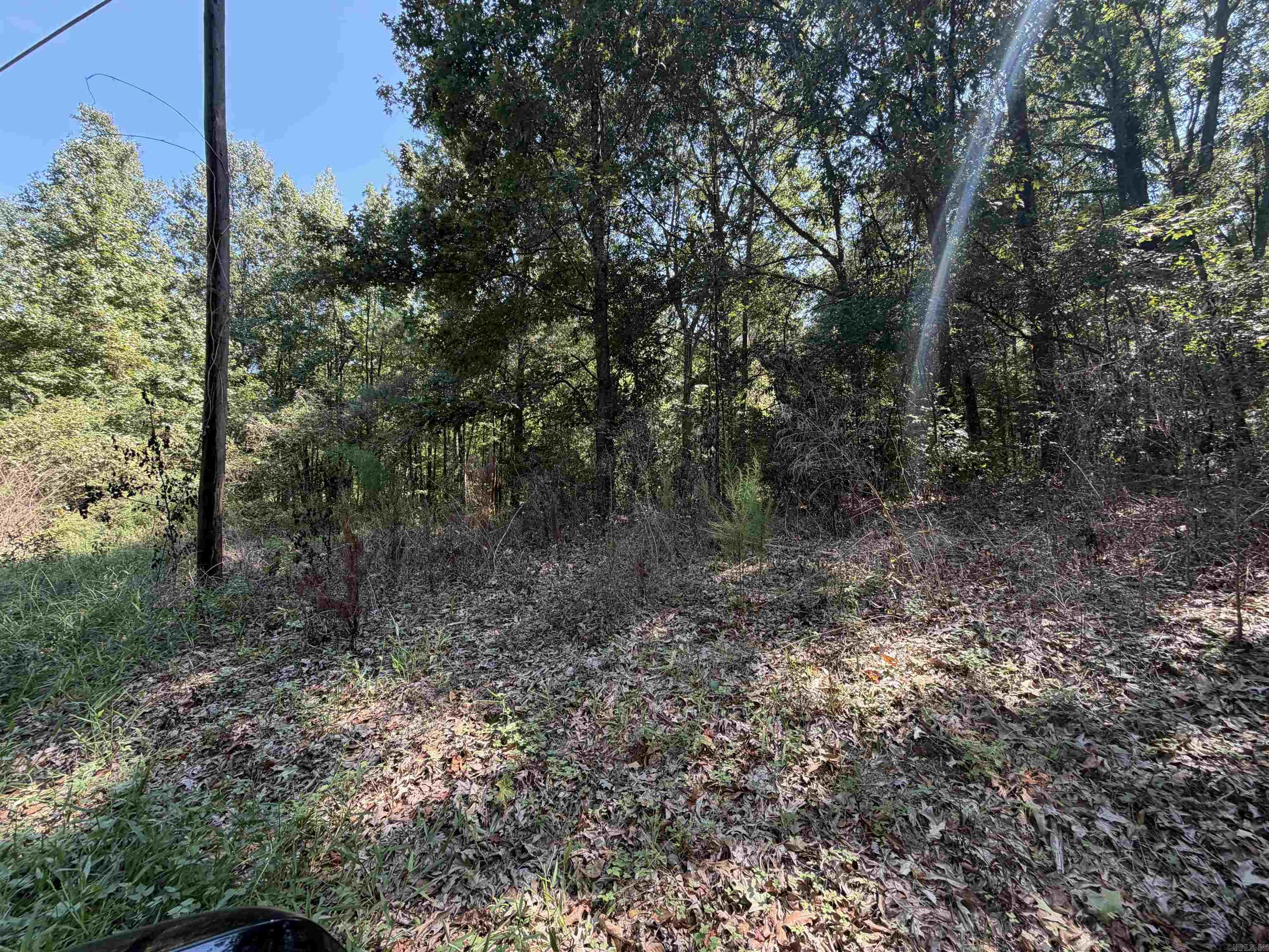 Shady Grove Road Property Photo 1