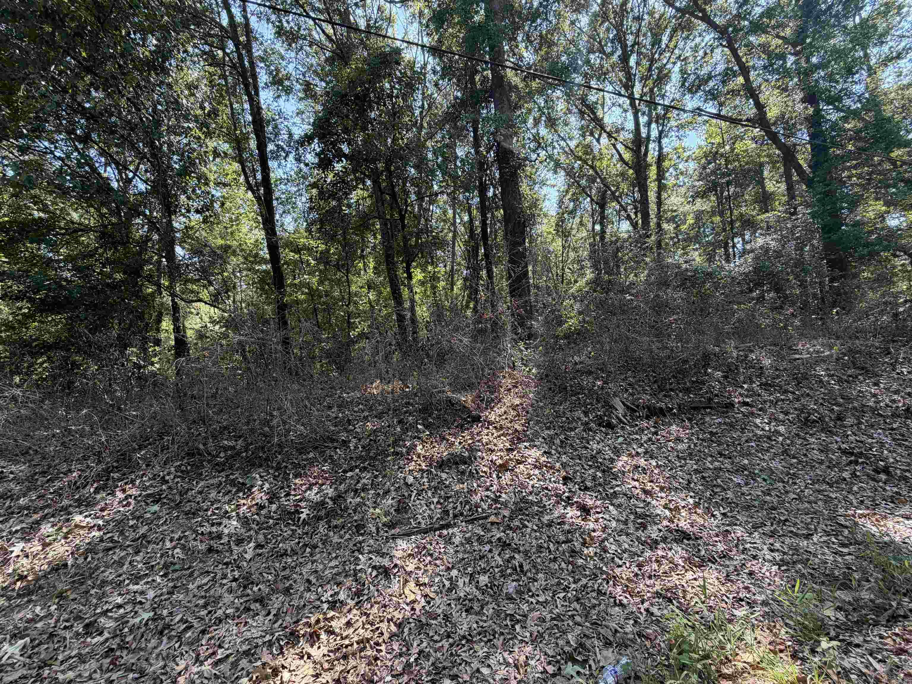 Shady Grove Road Property Photo 2