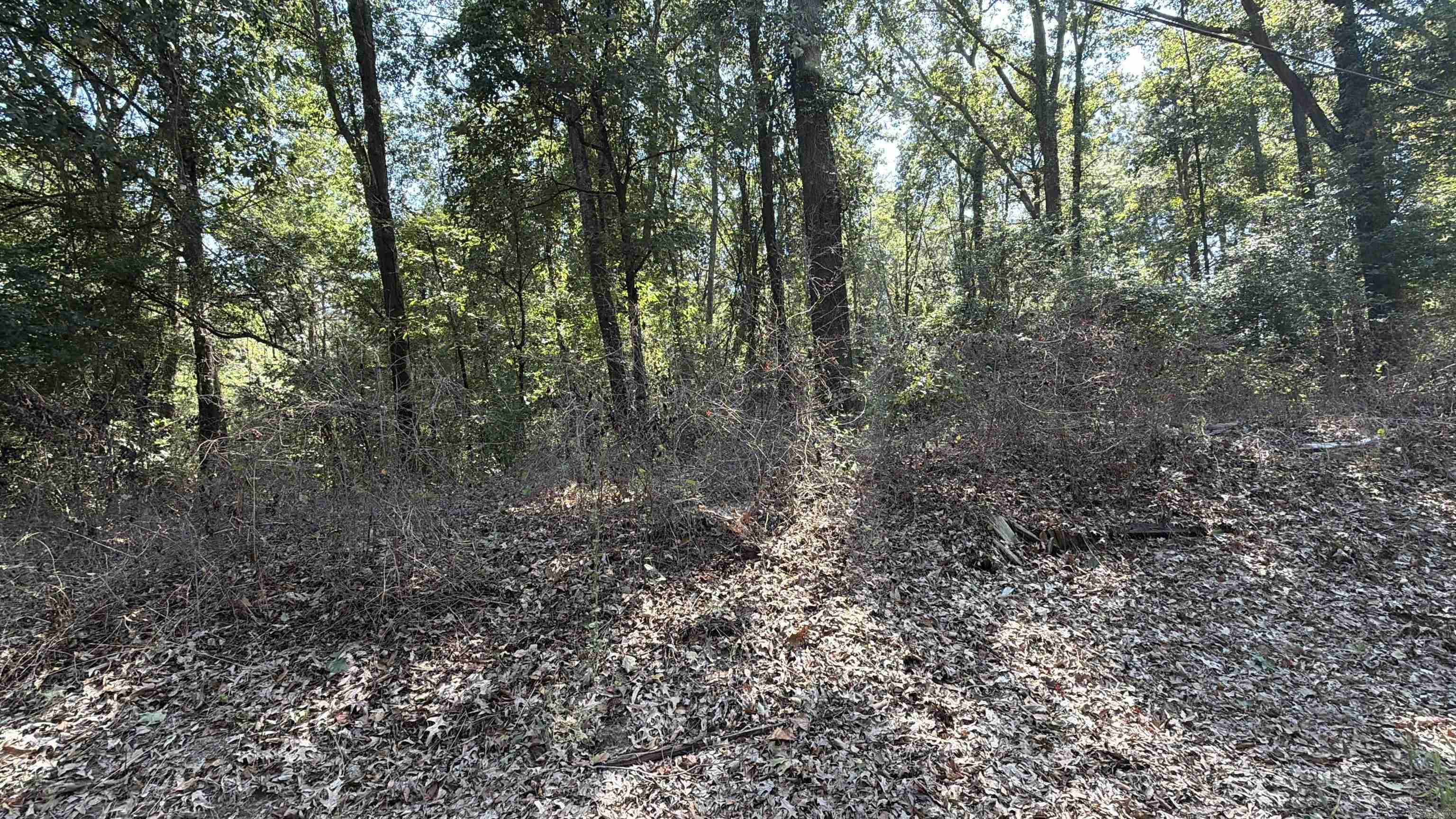 Shady Grove Road Property Photo 3