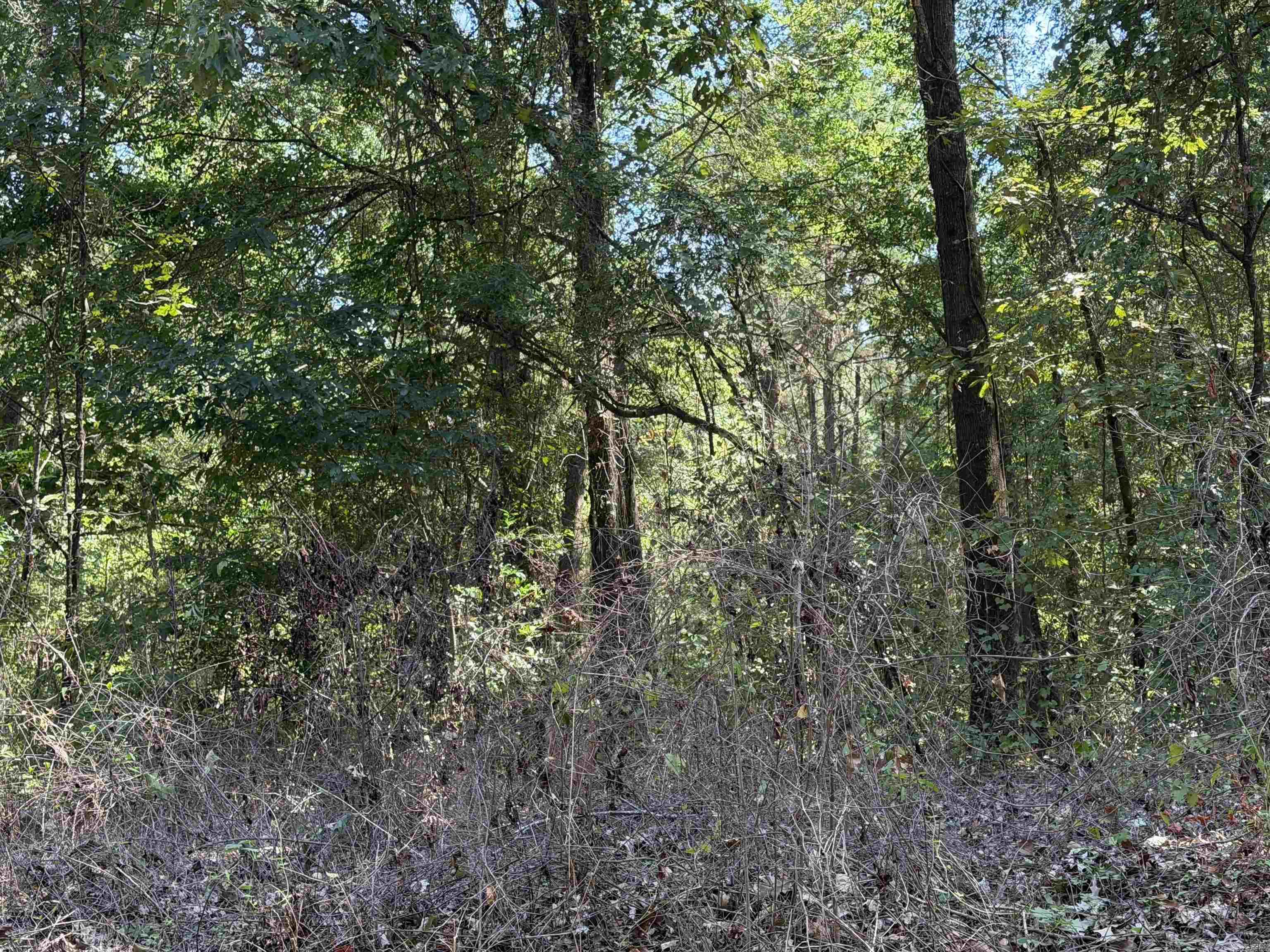Shady Grove Road Property Photo 4
