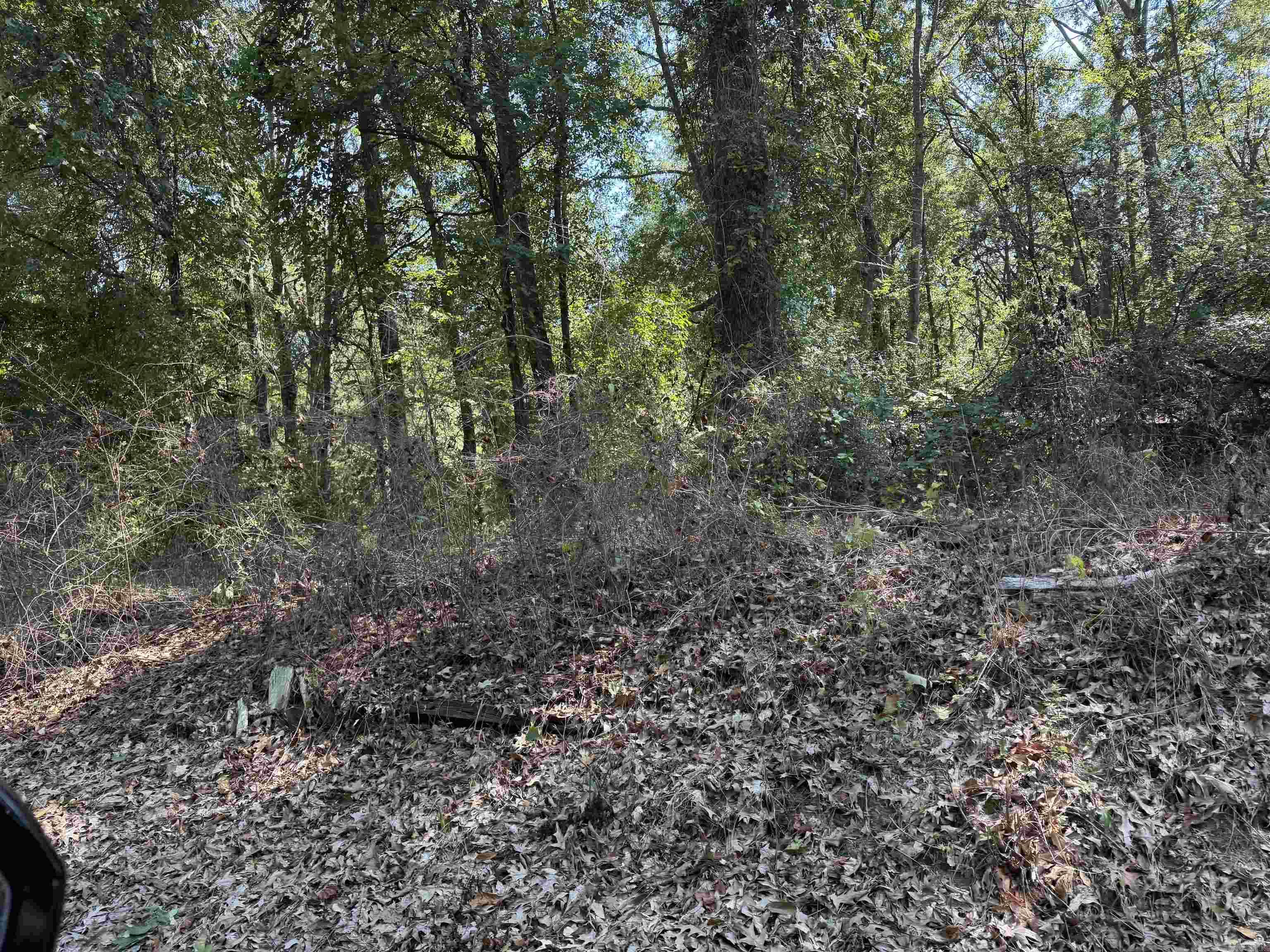 Shady Grove Road Property Photo 5
