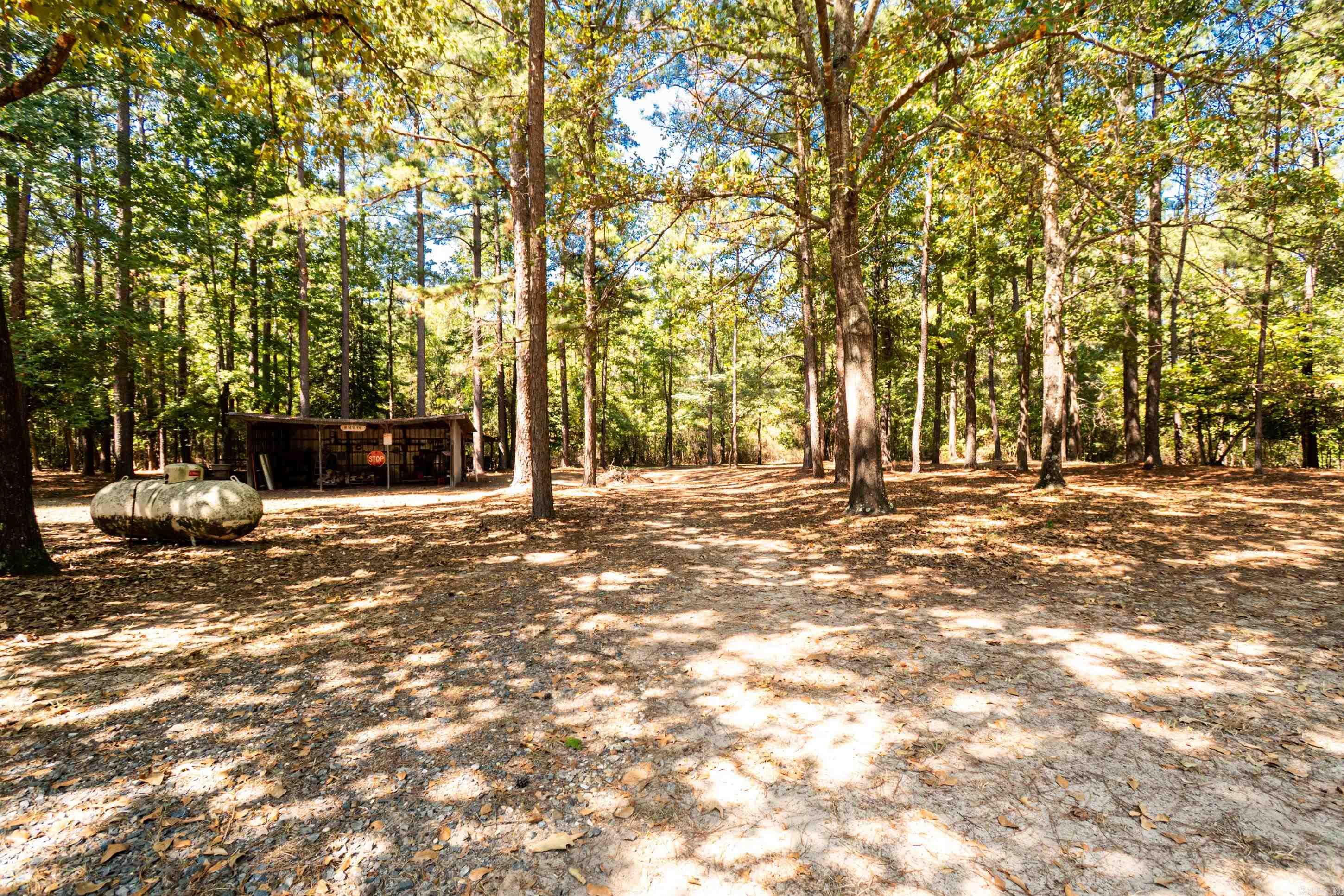 2784 Hinson Road Property Photo 46