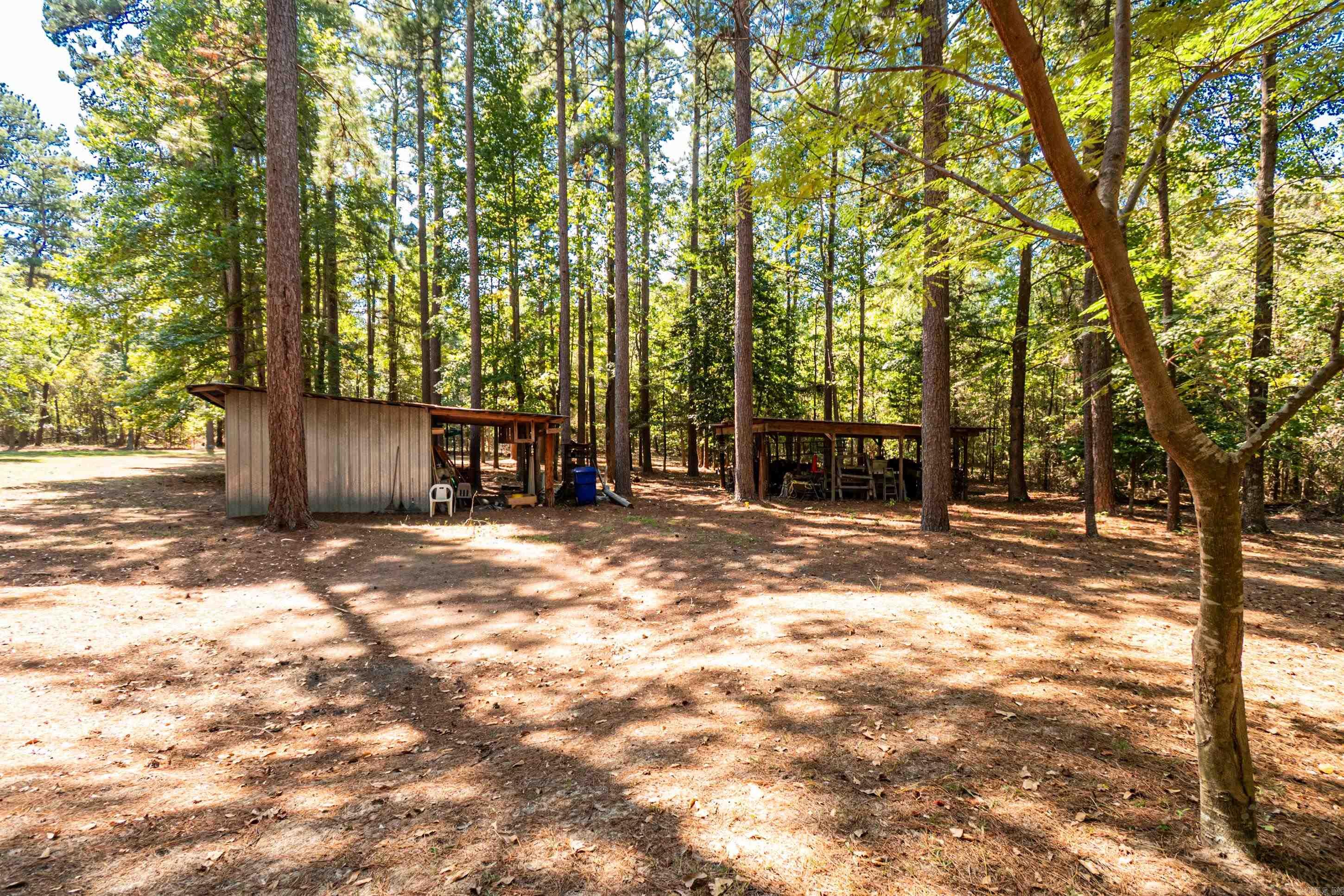 2784 Hinson Road Property Photo 47