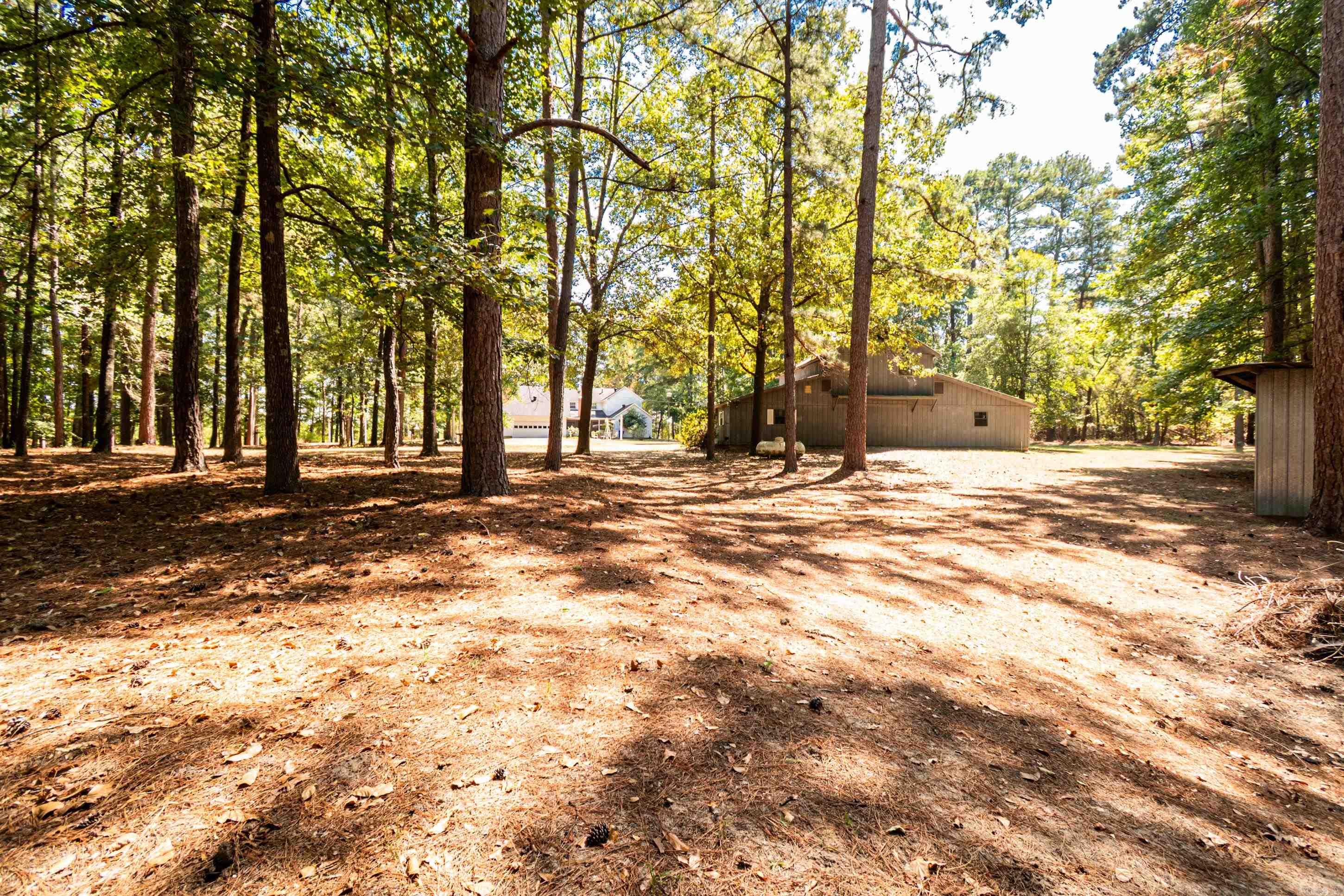 2784 Hinson Road Property Photo 48