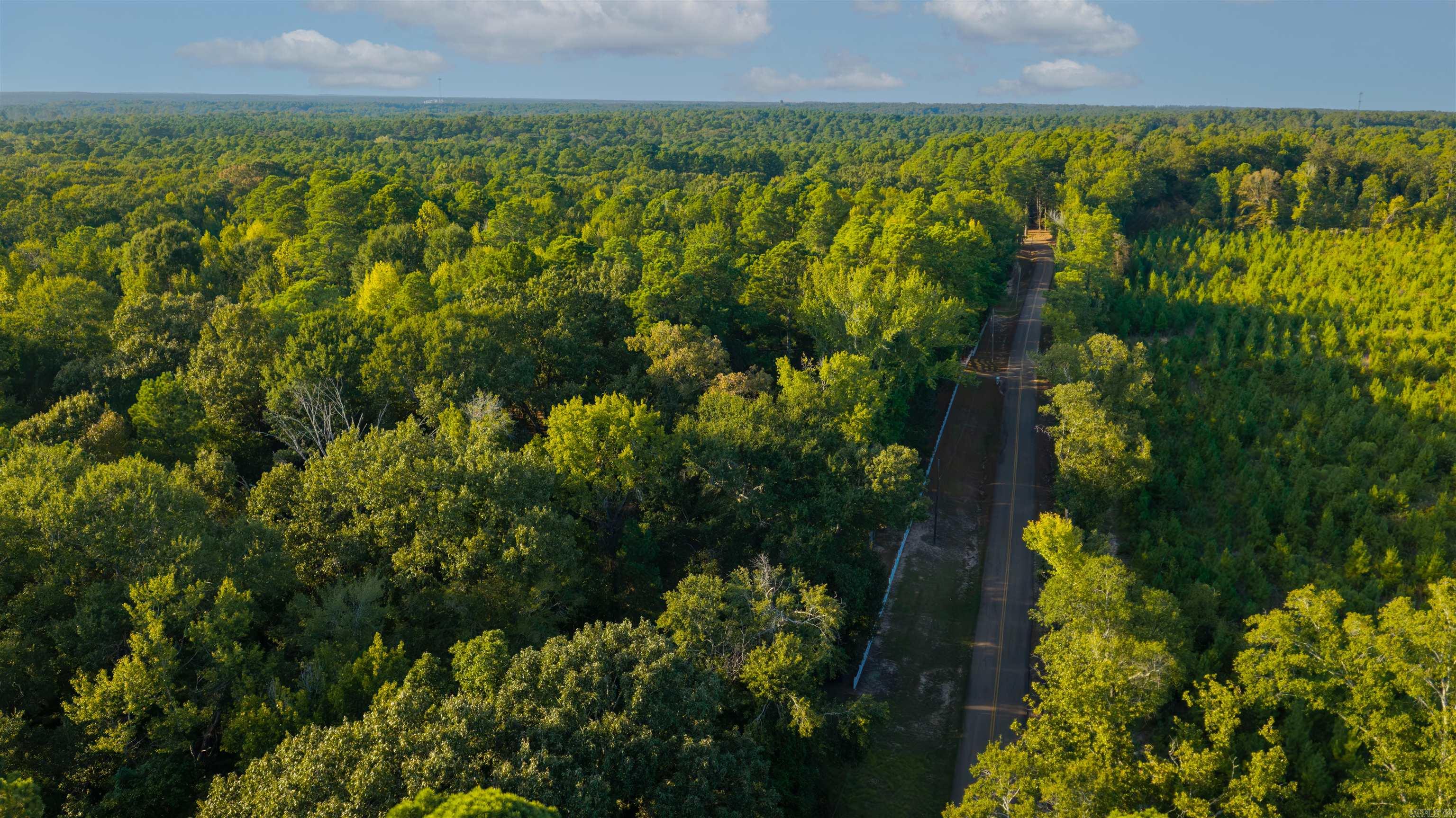 2784 Hinson Road Property Photo 49