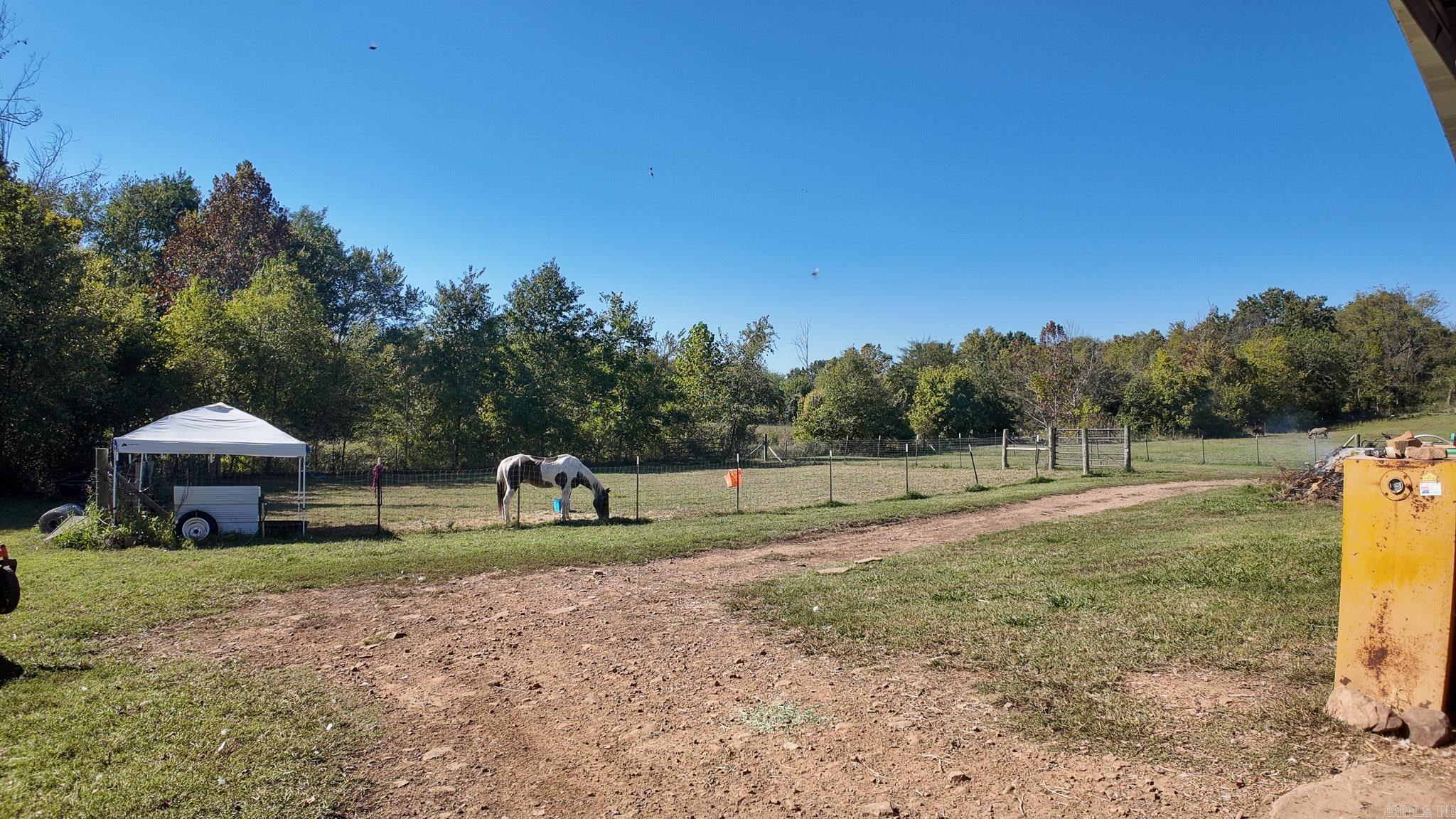 226 Feemster Drive Property Photo 49