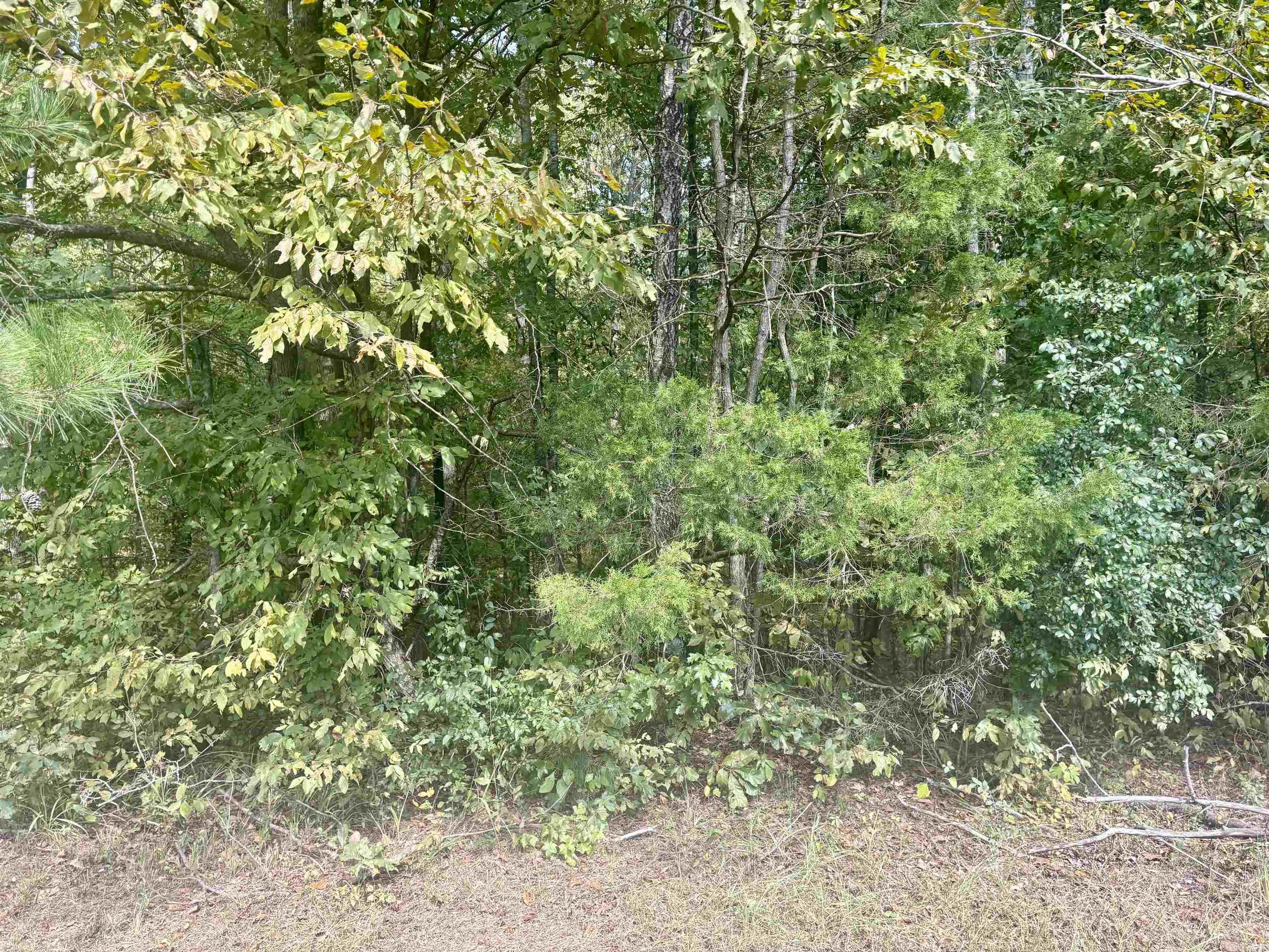 Tract 2 Steel Bridge Road Property Photo 3