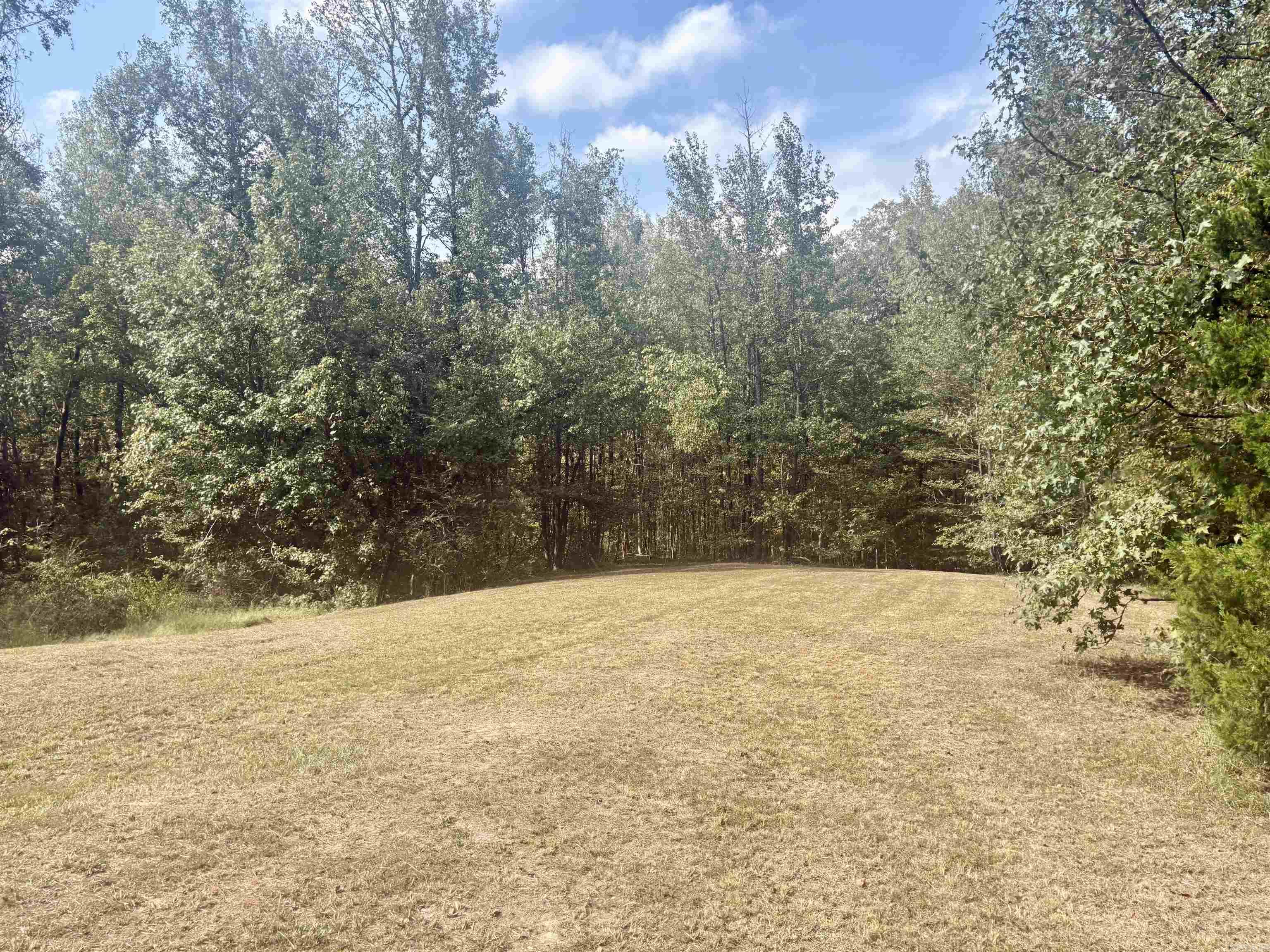 Tract 2 Steel Bridge Road Property Photo 4
