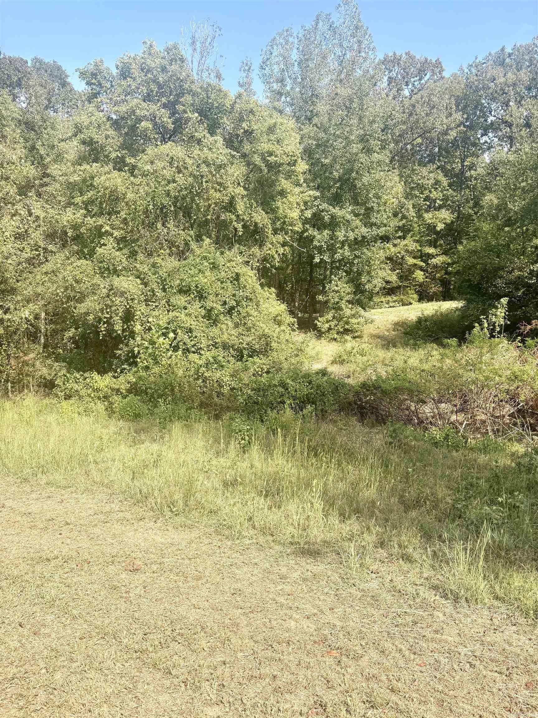 Tract 2 Steel Bridge Road Property Photo 5