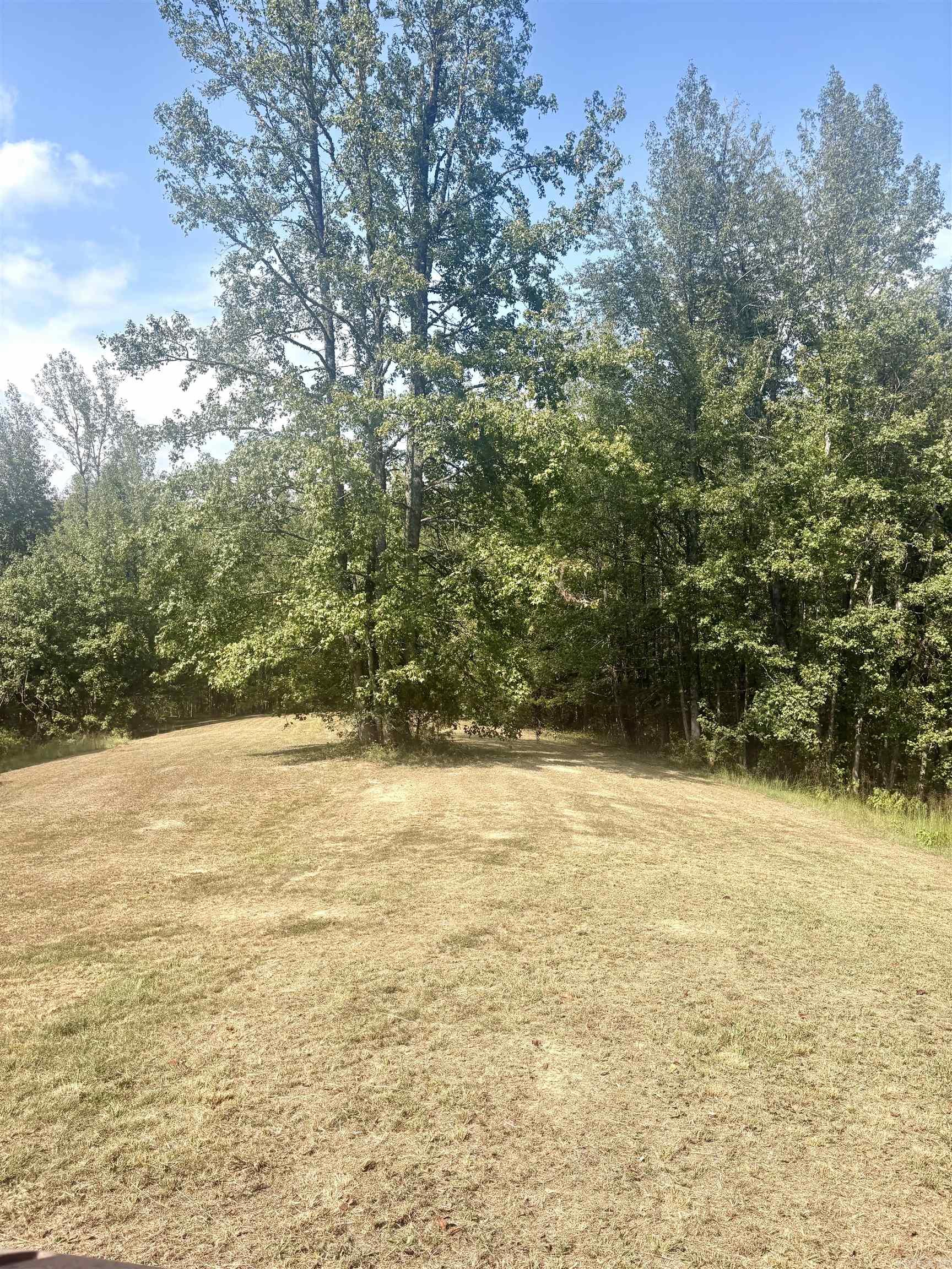 Tract 2 Steel Bridge Road Property Photo 6