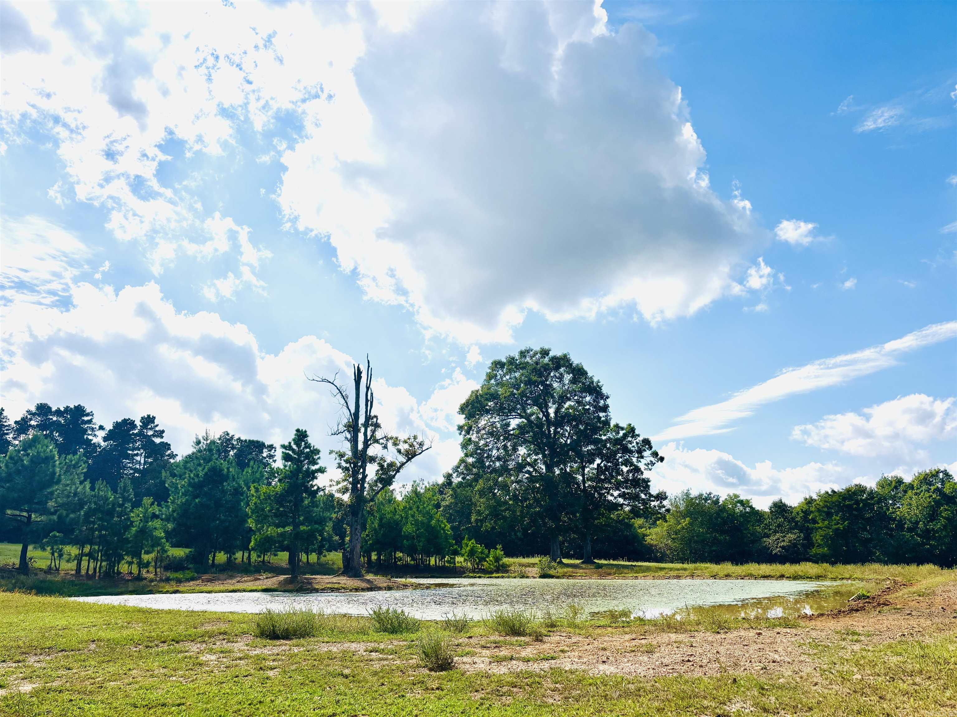 3334 Little Red River Road Property Photo 5