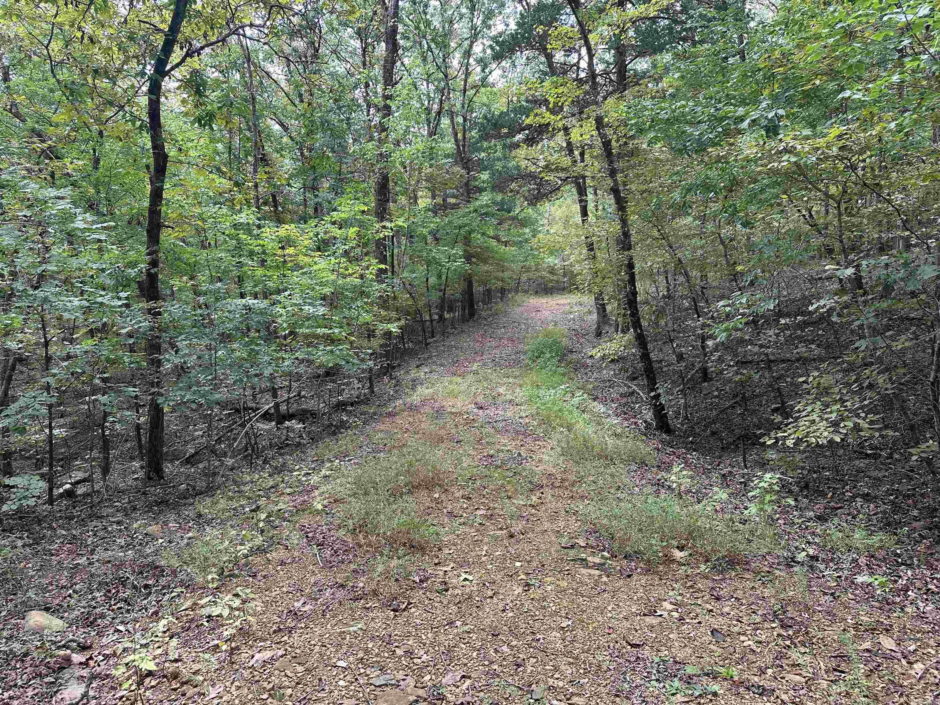 000 Nc 167 Property Photo 8