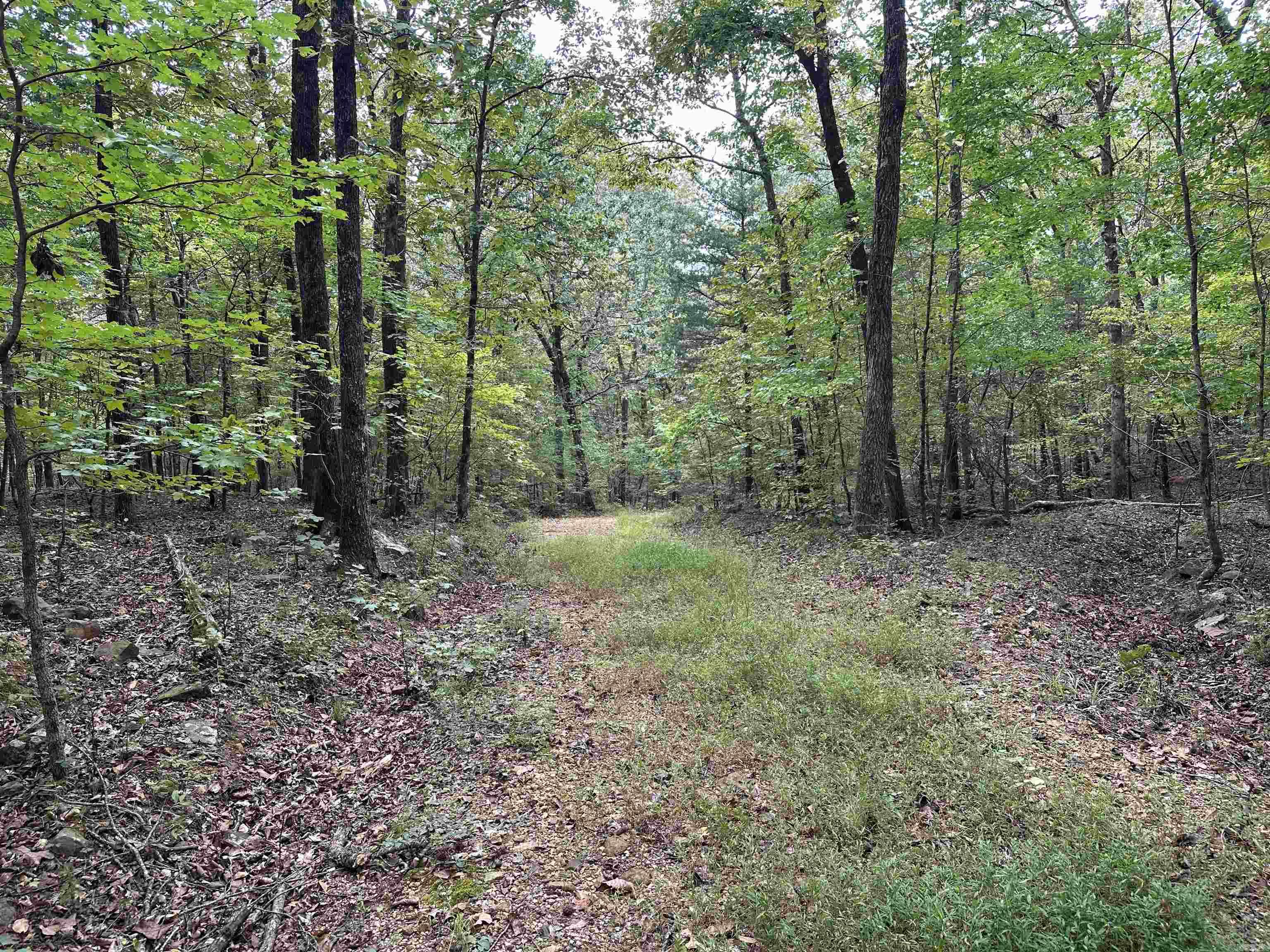 000 Nc 167 Property Photo 10