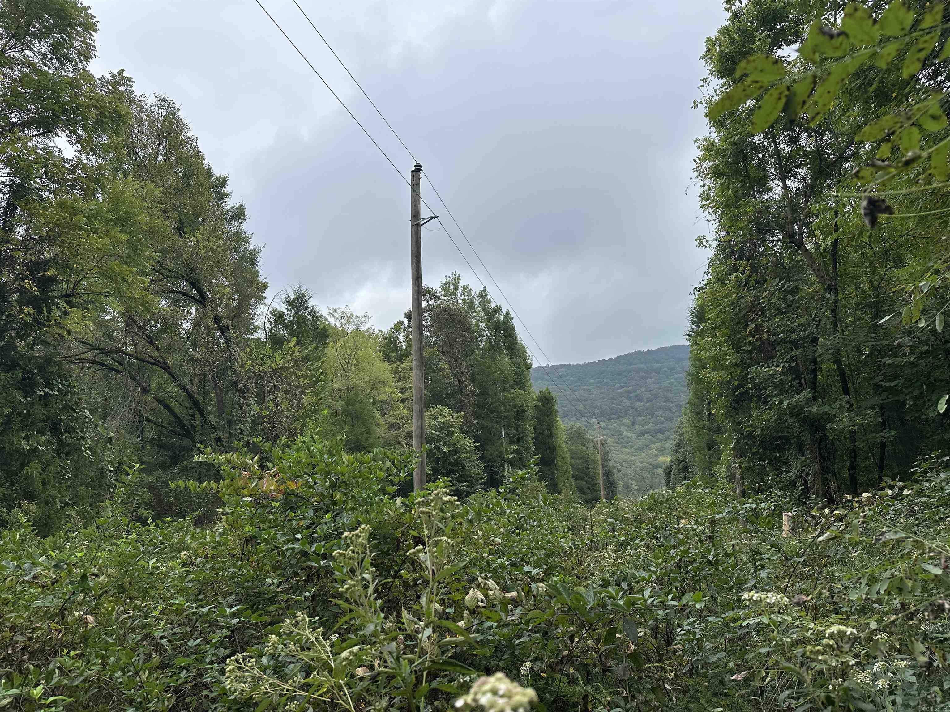 000 Nc 167 Property Photo 12