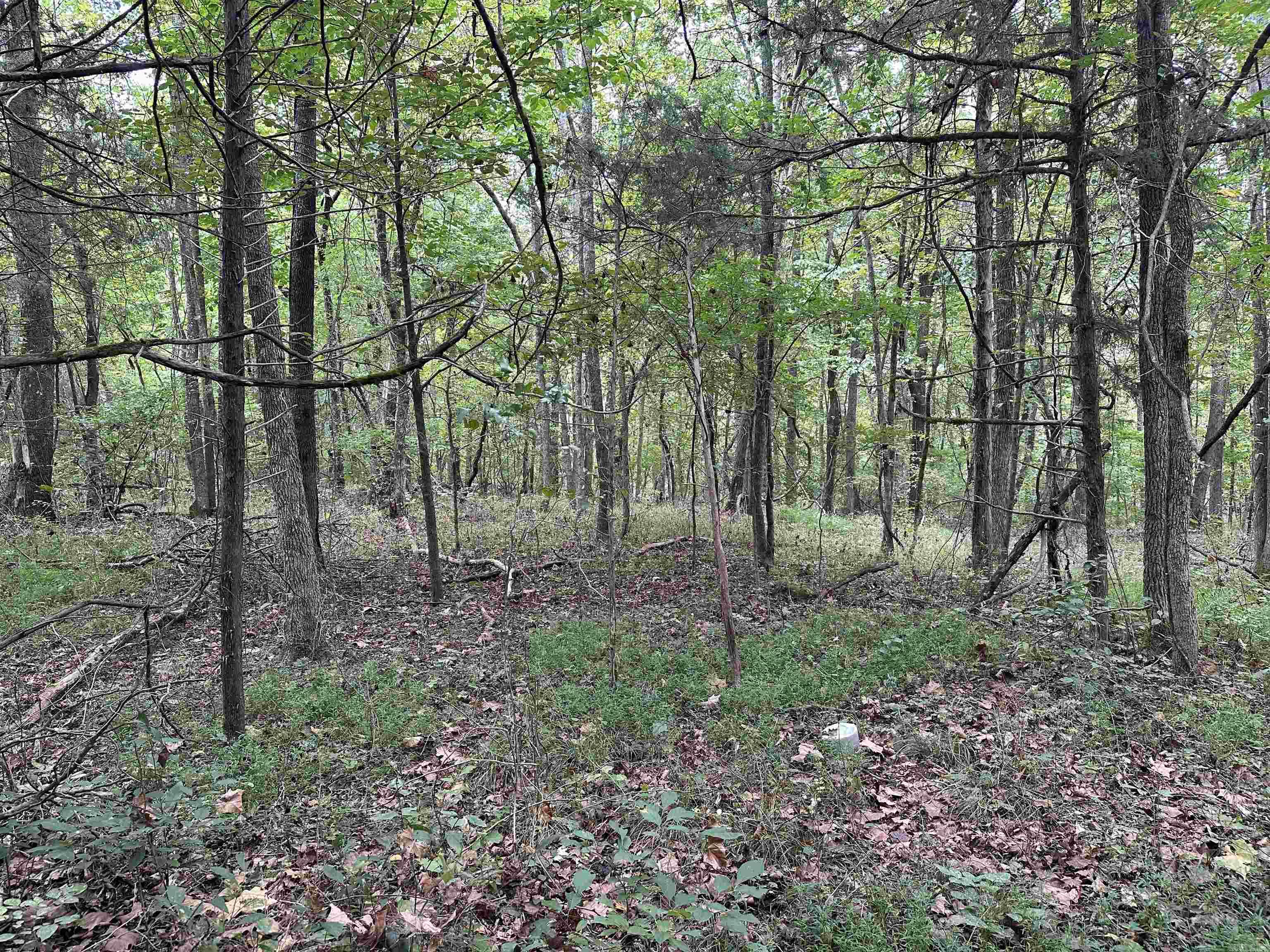 000 Nc 167 Property Photo 13
