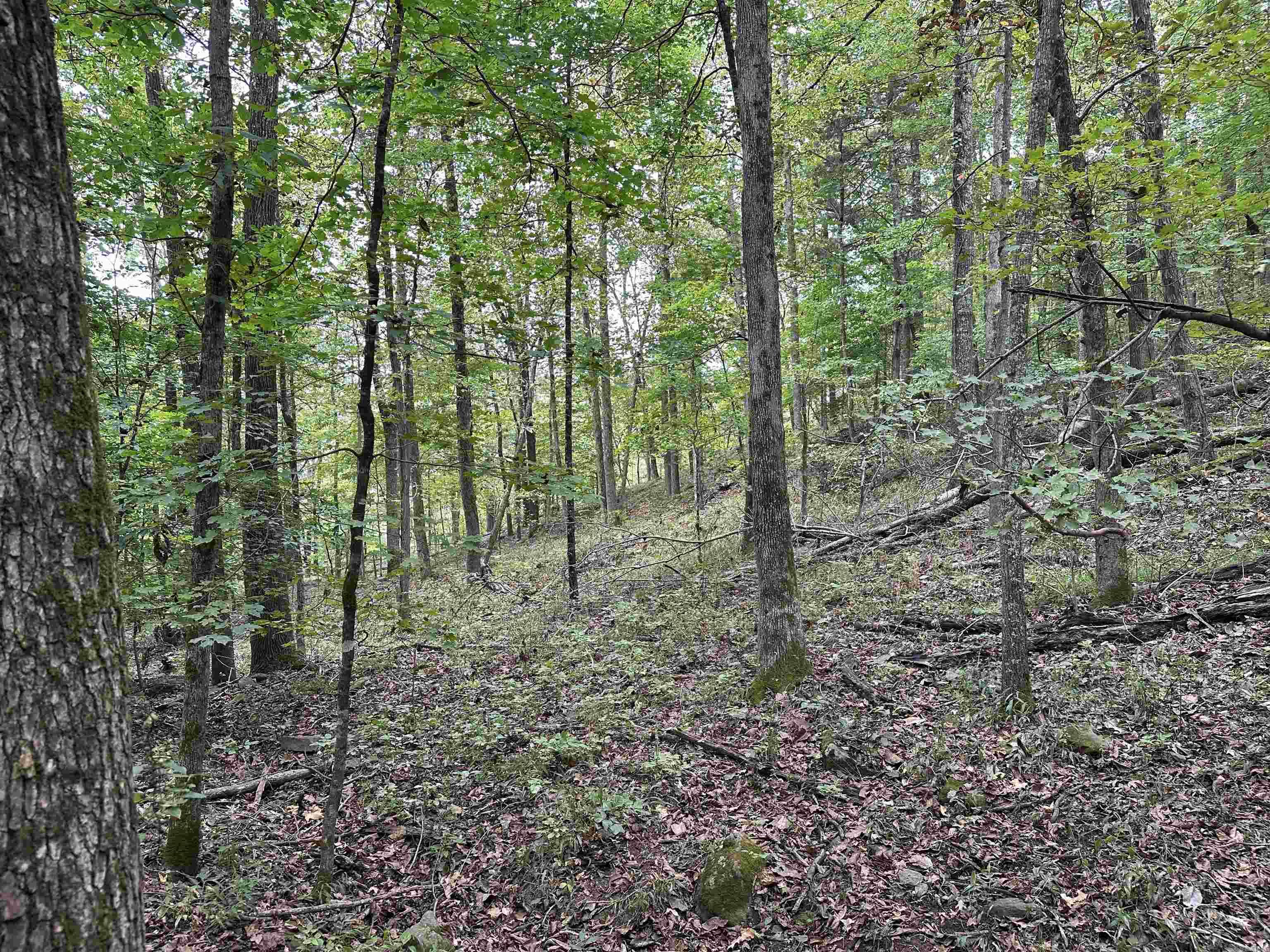 000 Nc 167 Property Photo 14