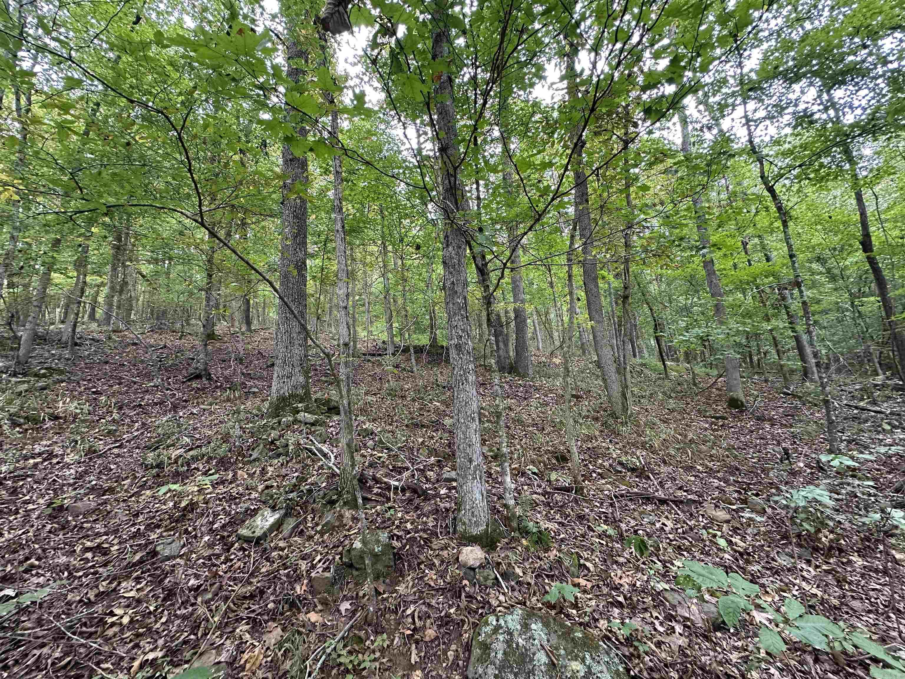 000 Nc 167 Property Photo 15
